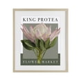 thumbnail image 1 of Stupell Industries Modern King Protea Flower Market Birch Framed Print Under Glass, 17 x 21, by Jennifer Stith, 1 of 8