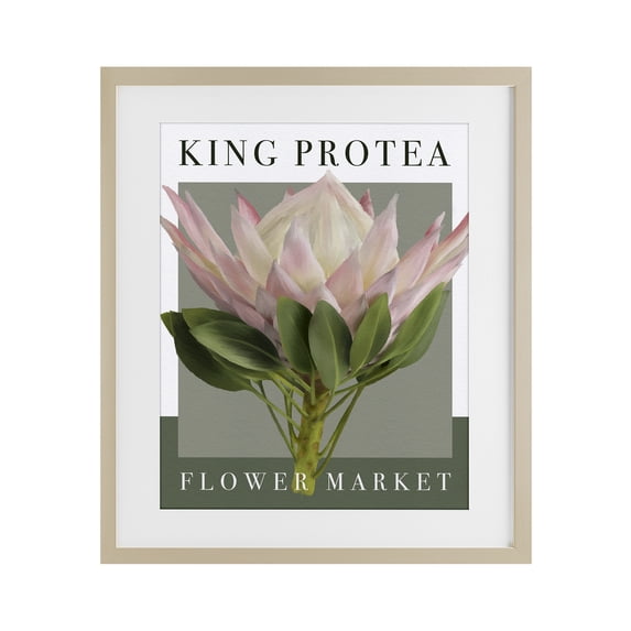 Stupell Industries Modern King Protea Flower Market Birch Framed Print Under Glass, 17 x 21, by Jennifer Stith
