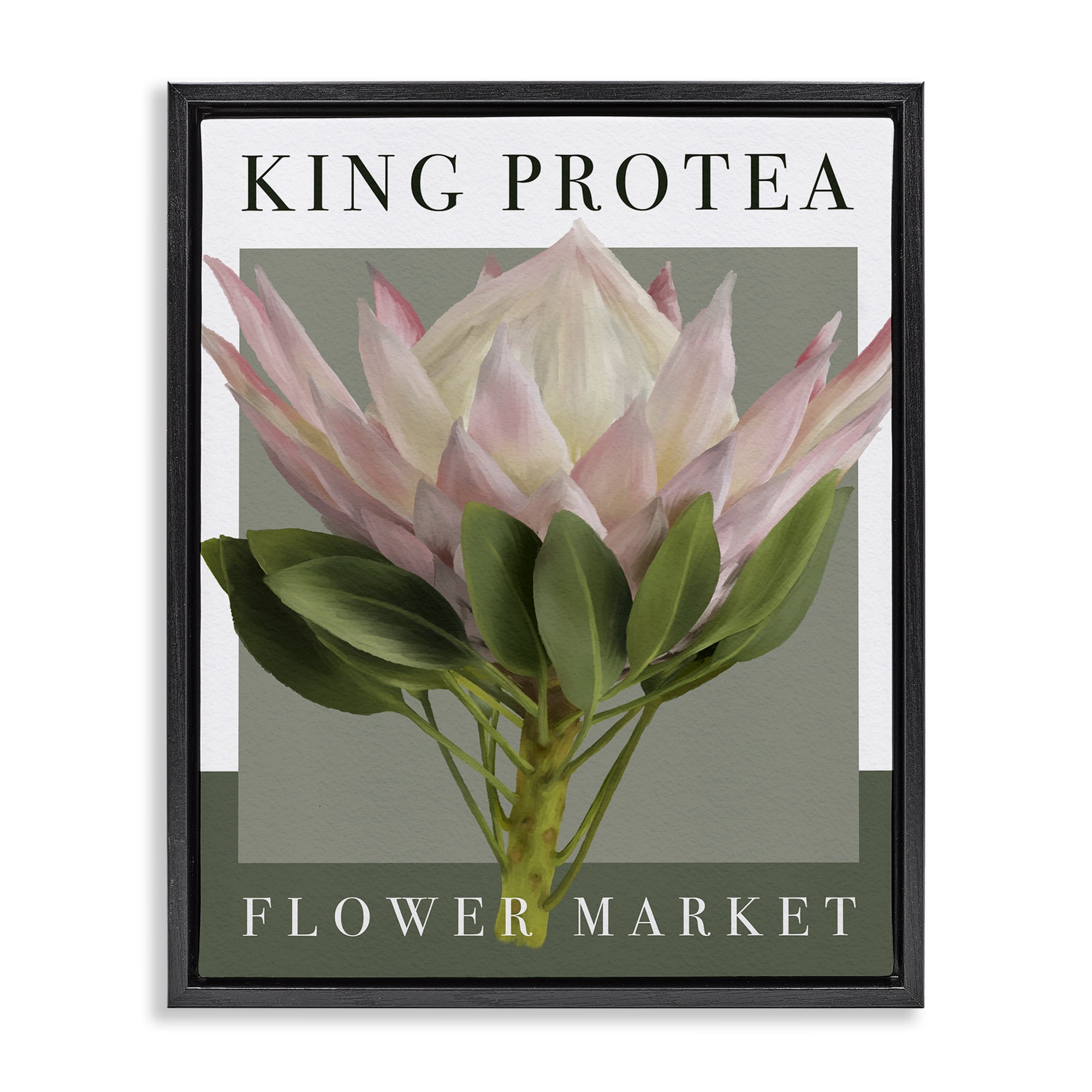 Stupell Industries King Protea Flower Market Black Framed Floater Canvas Wall Art, design by Jennifer Stith