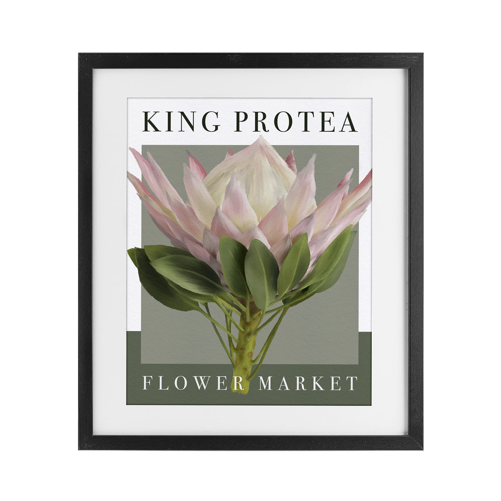 Stupell Industries King Protea Flower Market Black Framed Print Under Glass, design by Jennifer Stith