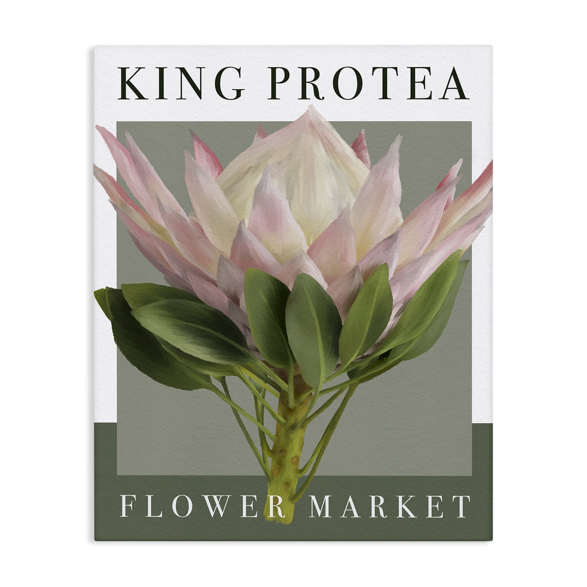 Stupell Industries King Protea Flower Market Canvas Wall Art, design by Jennifer Stith