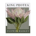 thumbnail image 1 of Stupell Industries Modern King Protea Flower Market Canvas Art, 24 x 30, by Jennifer Stith, 1 of 7