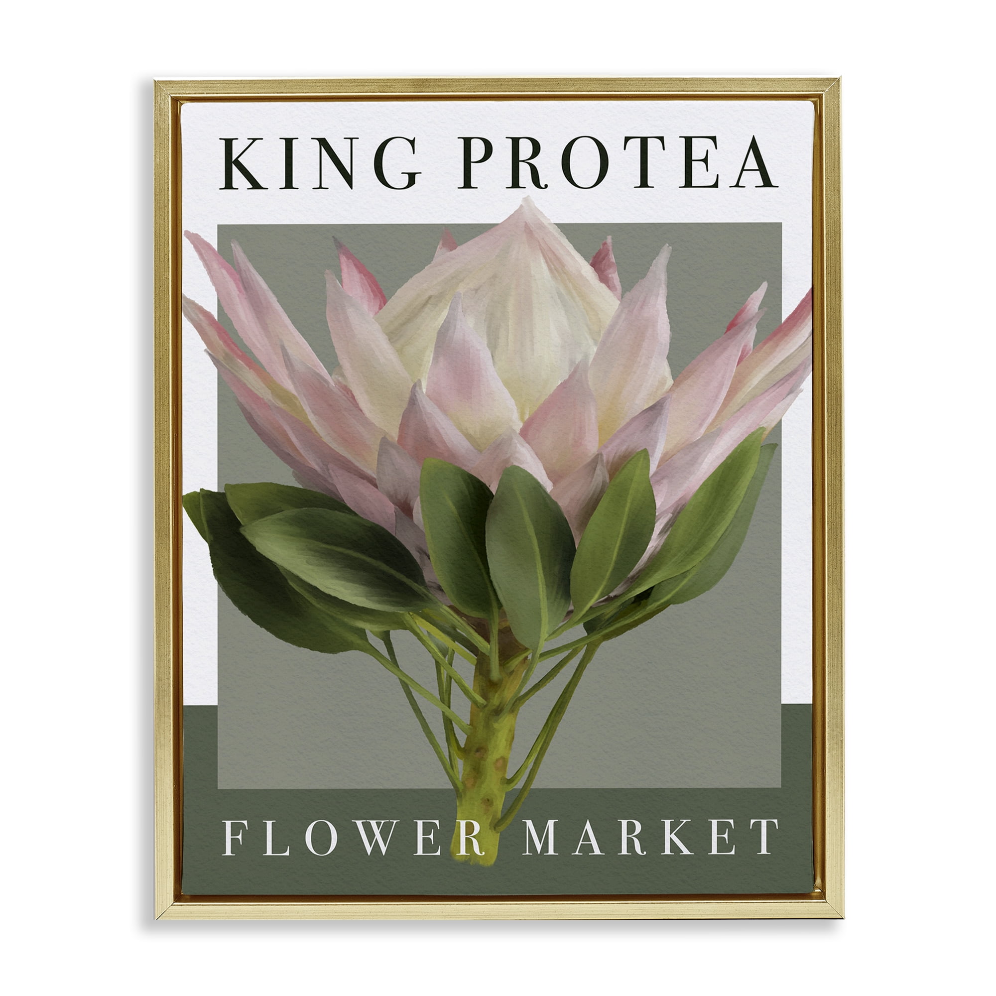 Stupell Industries King Protea Flower Market Gold Framed Floater Canvas Wall Art, design by Jennifer Stith