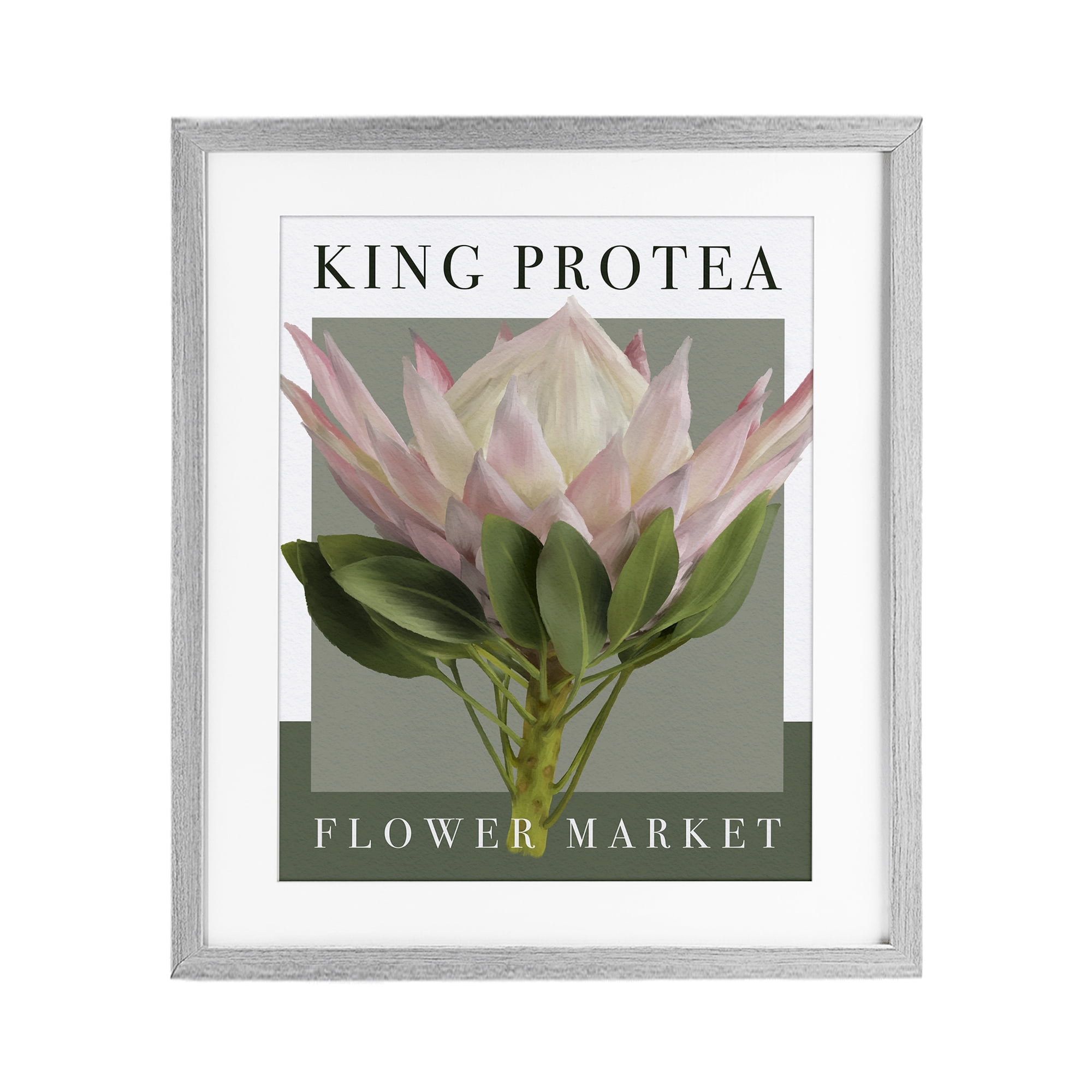 Stupell Industries King Protea Flower Market Gray Framed Print Under Glass, design by Jennifer Stith