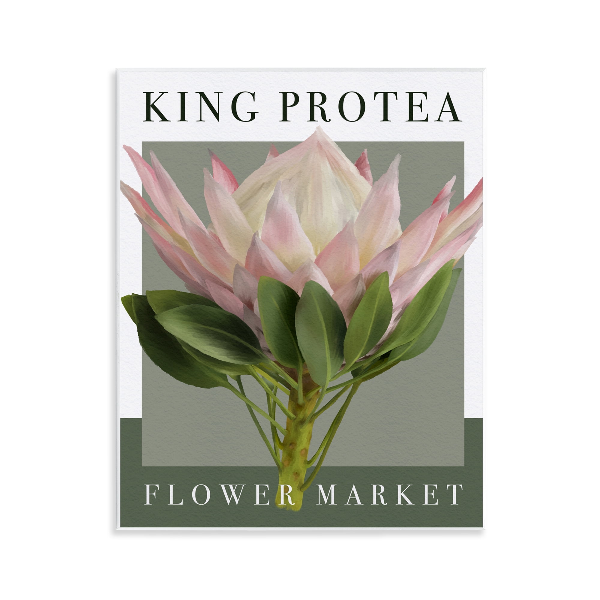 Stupell Industries King Protea Flower Market Wall Plaque Art, design by Jennifer Stith