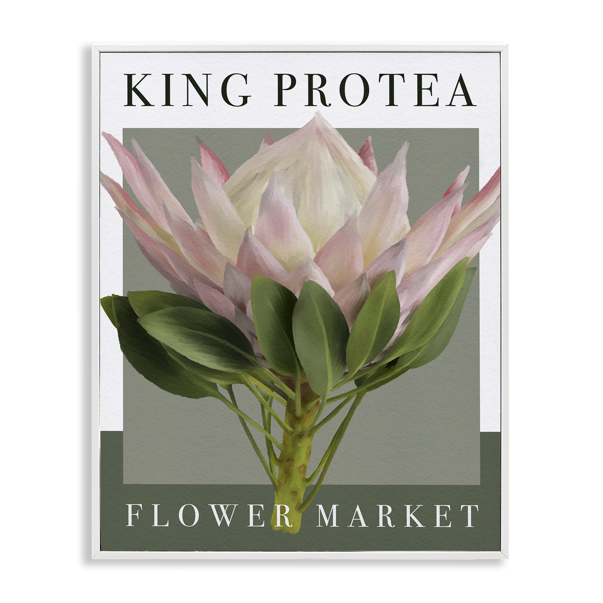 Stupell Industries King Protea Flower Market White Framed Giclee Art, design by Jennifer Stith