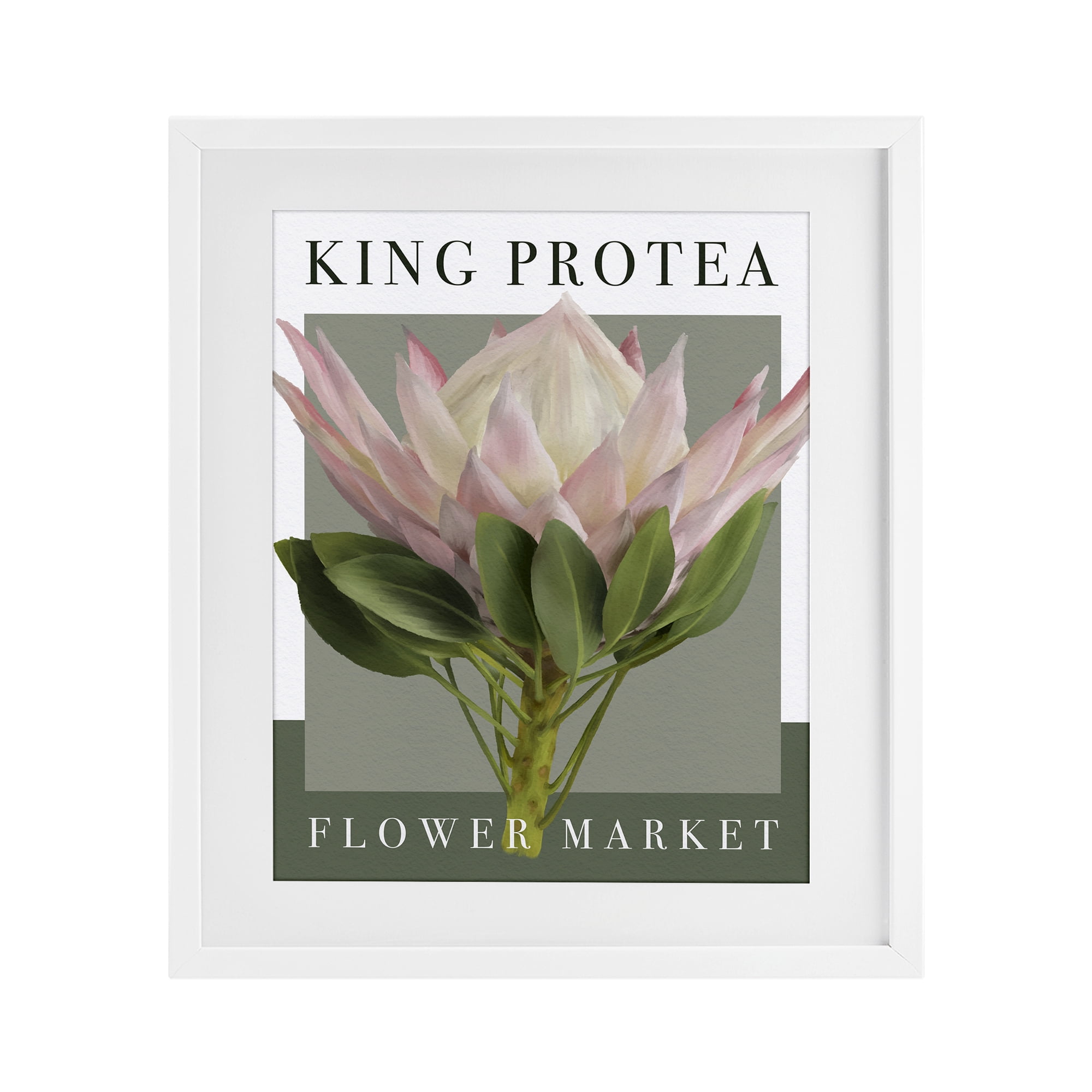 Stupell Industries King Protea Flower Market White Framed Print Under Glass, design by Jennifer Stith