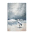 thumbnail image 1 of Stupell Industries Transitional Kingdom Of Herons Canvas Art, 16 x 24, by Ramona Murdock, 1 of 7