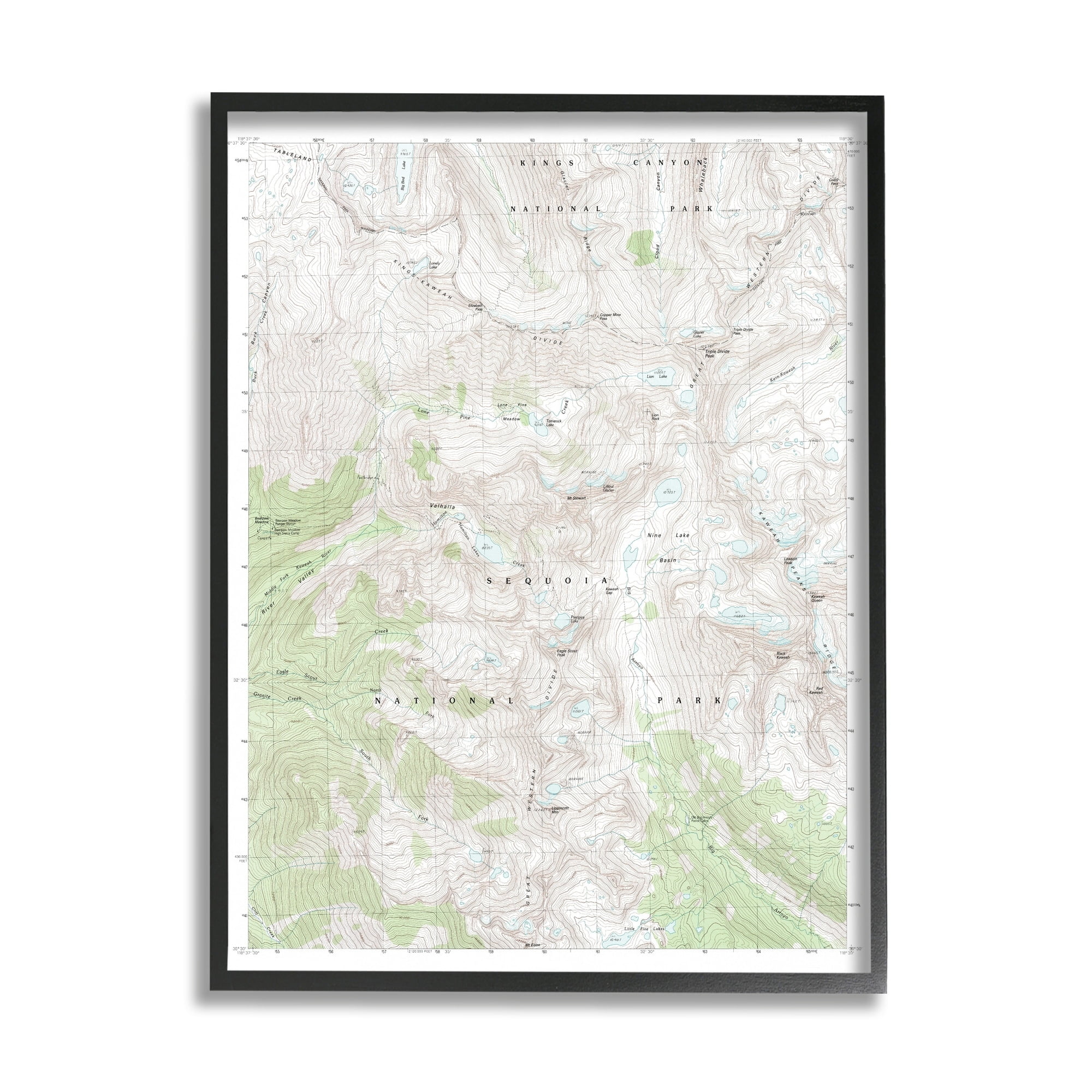 Stupell Industries Kings Canyon Sequoia National Park Topographic Map Geography, 16 x 20, Design by Daphne Polselli