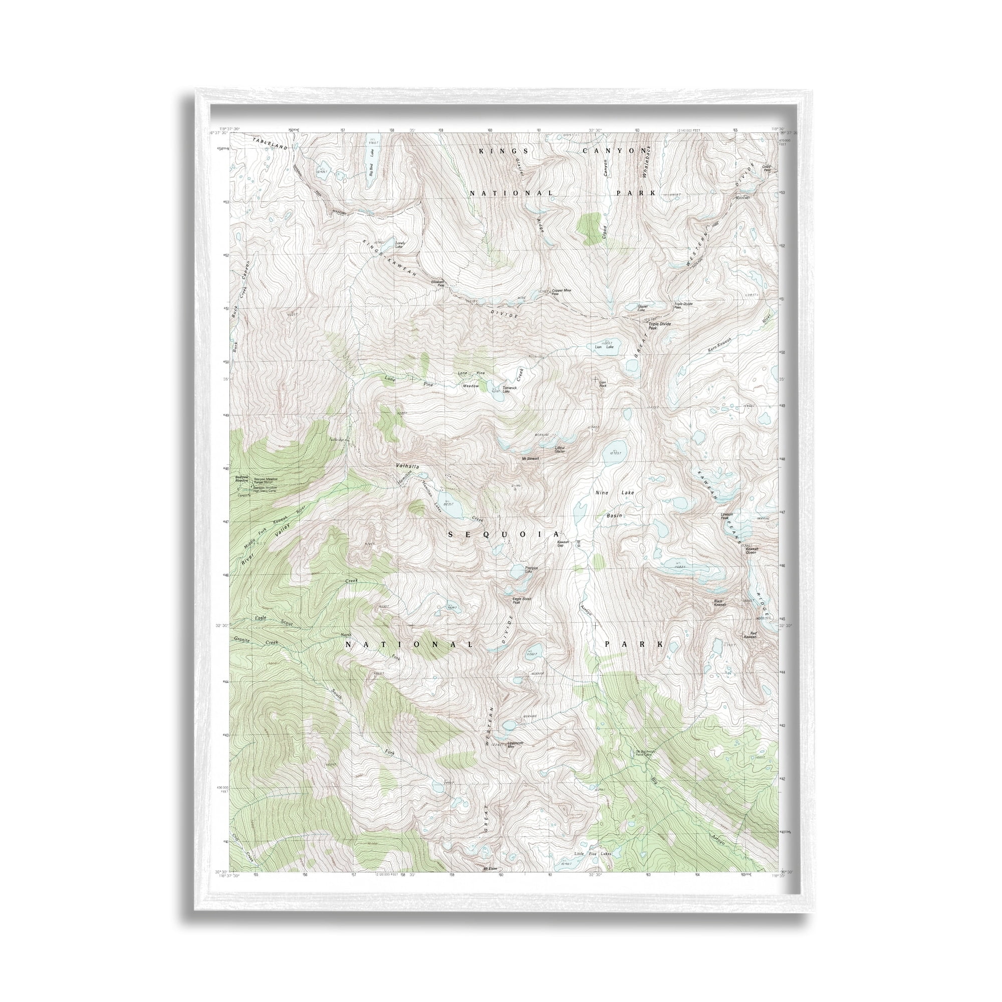 Stupell Industries Kings Canyon Sequoia National Park Topographic Map Geography, 16 x 20, Design by Daphne Polselli