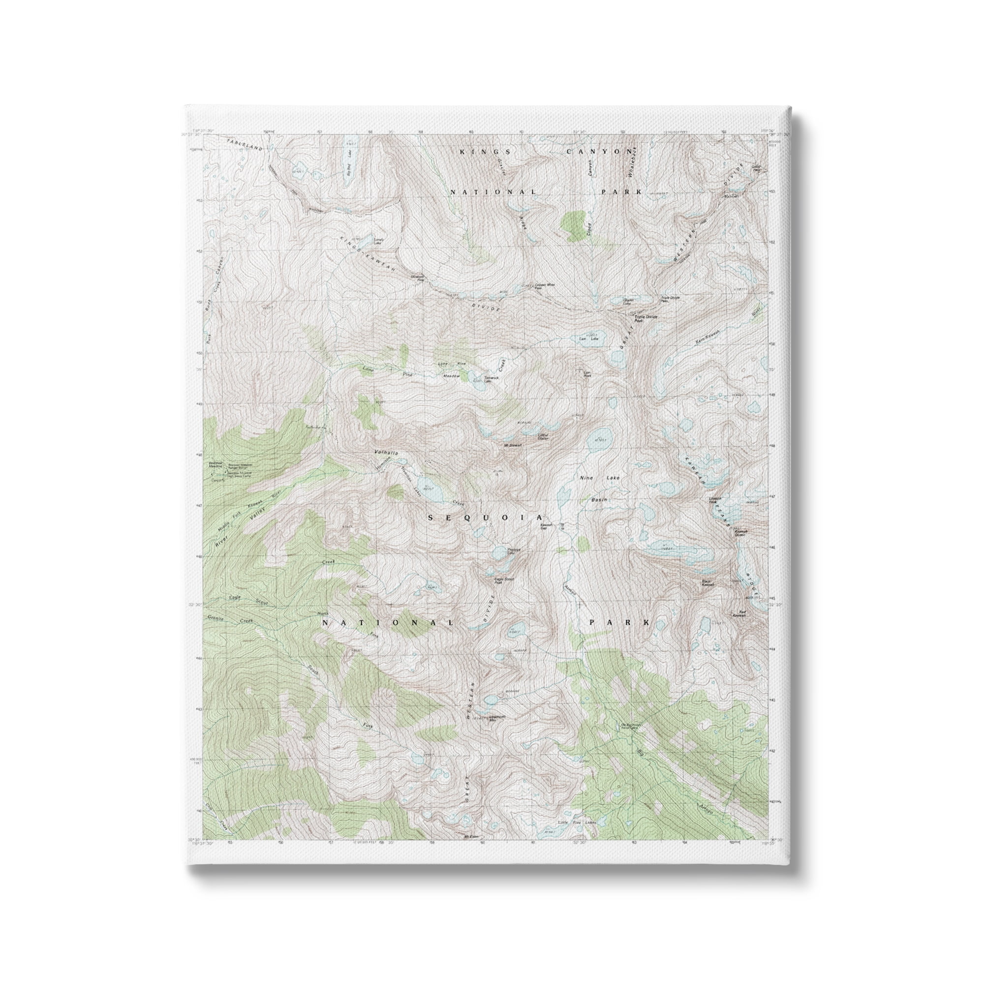 Stupell Industries Kings Canyon Sequoia National Park Topographic Map Geography, 30 x 40, Design by Daphne Polselli