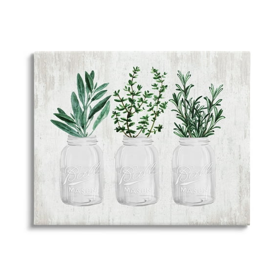 Stupell Industries Kitchen Herbs in Jars Botanical & Floral Painting Gallery Wrapped Canvas Print Wall Art, 30 x 24