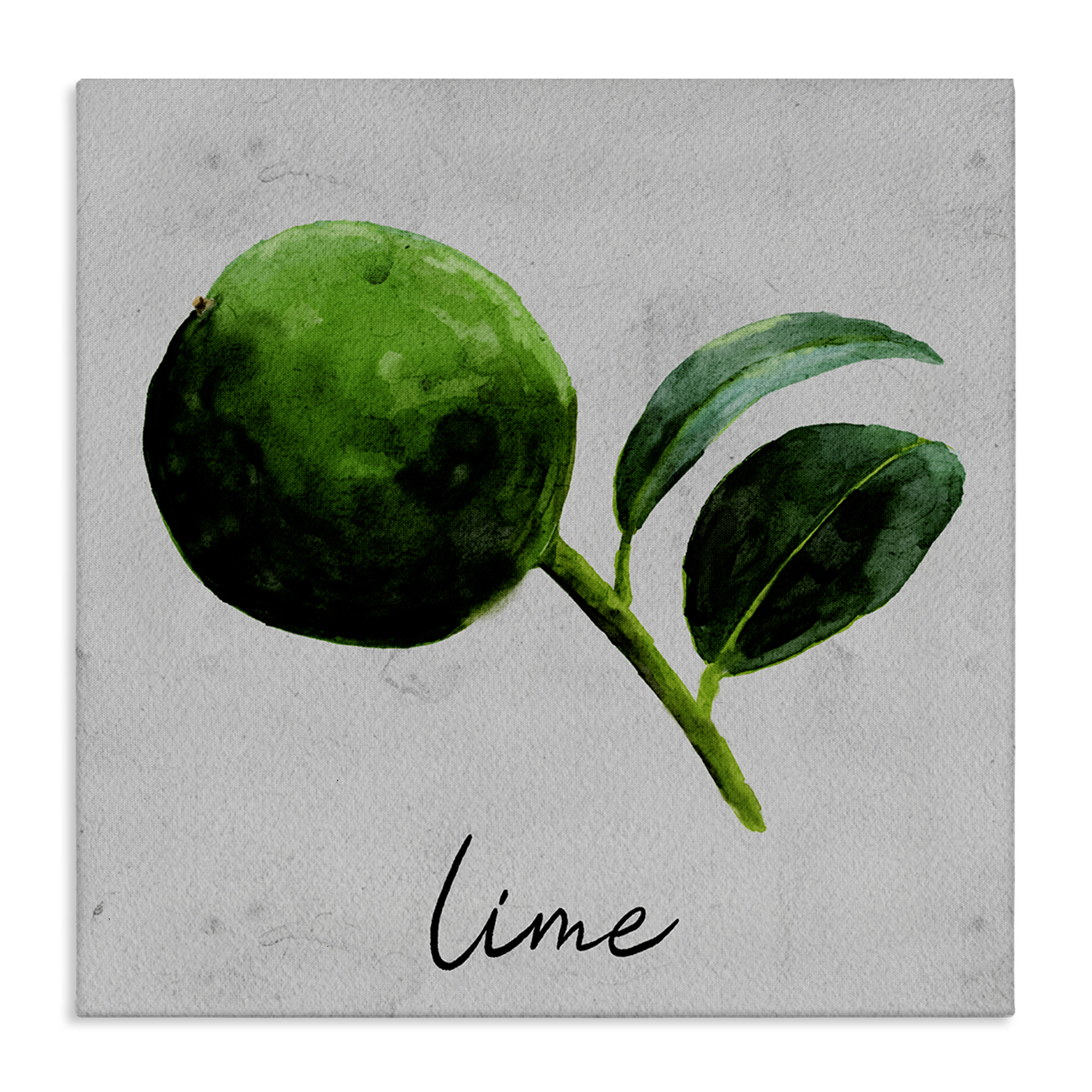 Stupell Industries Kitchen Lime with Leaf Food & Beverage Painting Wrapped Canvas Art Print Wall Art, 24 x 24