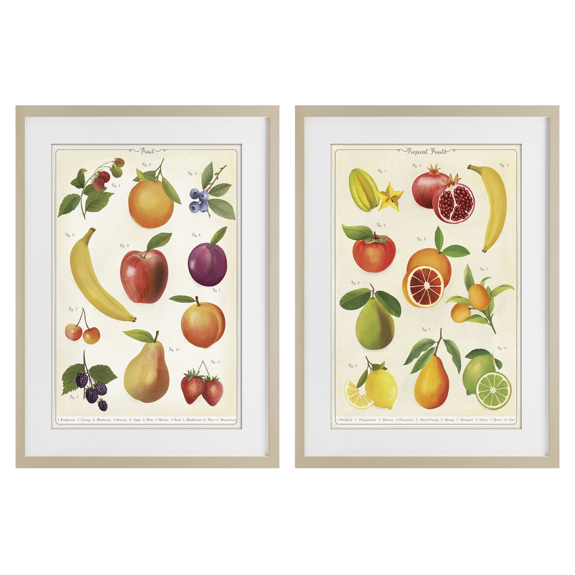 Stupell Industries Kitchen Studies Fruit 2 Piece Birch Framed Print Under Glass Set, design by Diane Neukirch