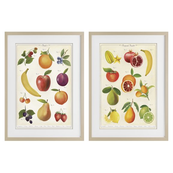 Stupell Industries Kitchen Studies Fruit 2 Piece Birch Framed Print Under Glass Set, design by Diane Neukirch