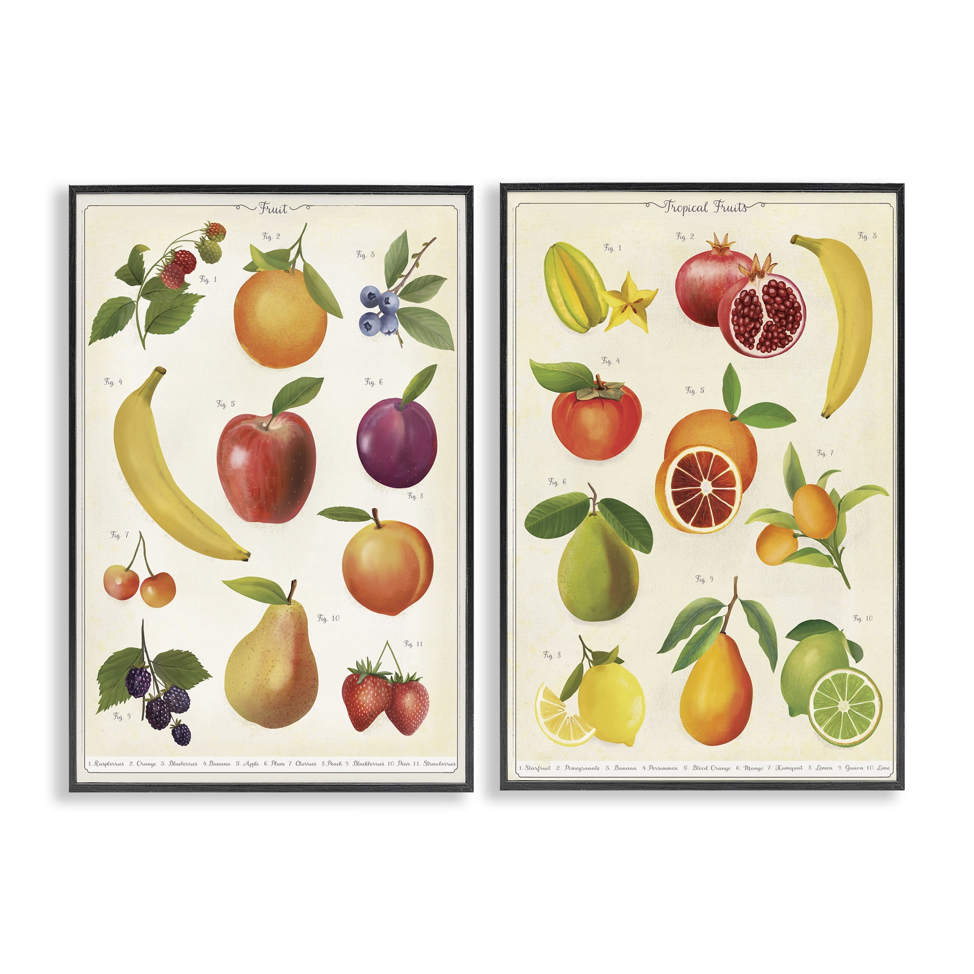 Stupell Industries Kitchen Studies Fruit 2 Piece Black Framed Giclee Art Set, design by Diane Neukirch
