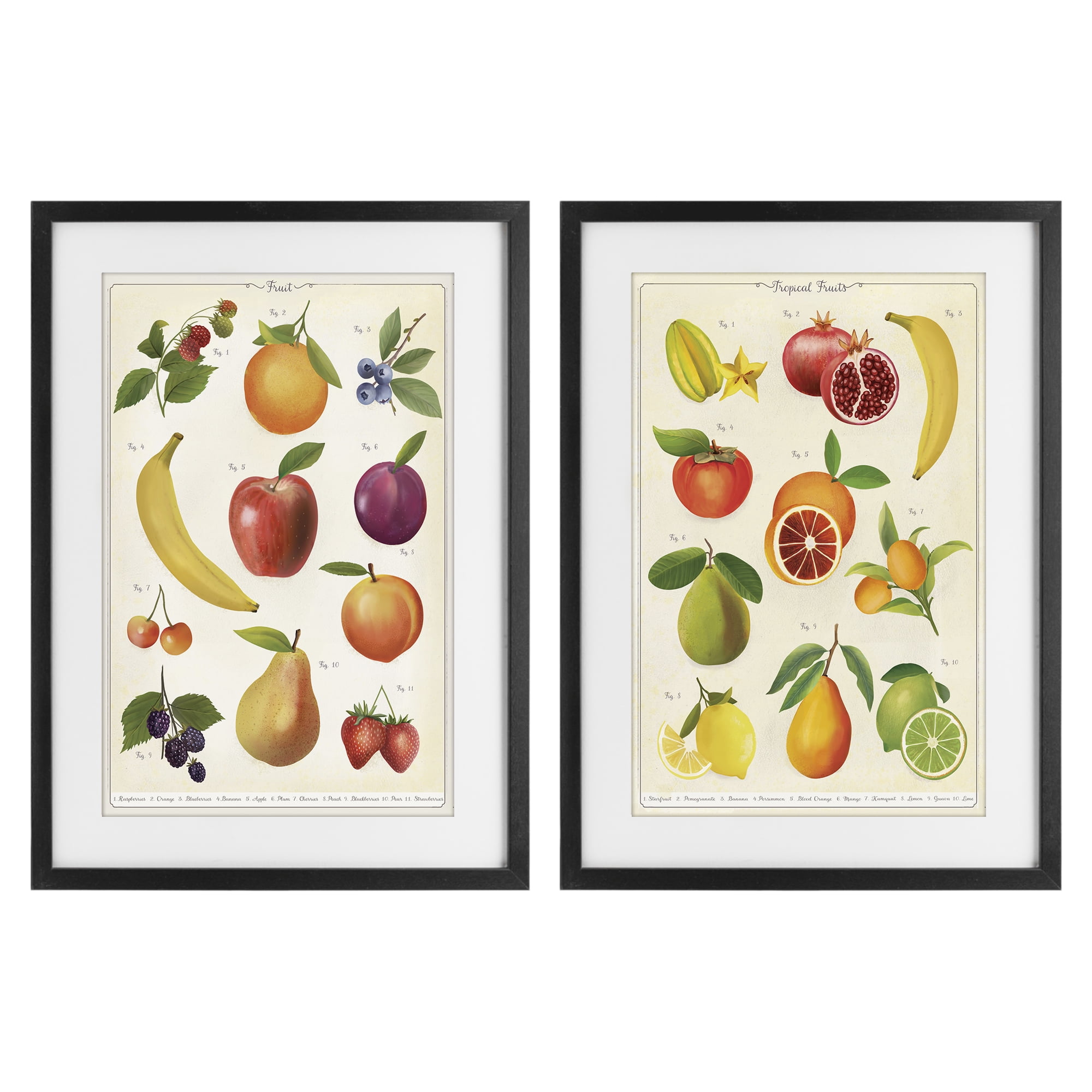 Stupell Industries Kitchen Studies Fruit 2 Piece Black Framed Print Under Glass Set, design by Diane Neukirch