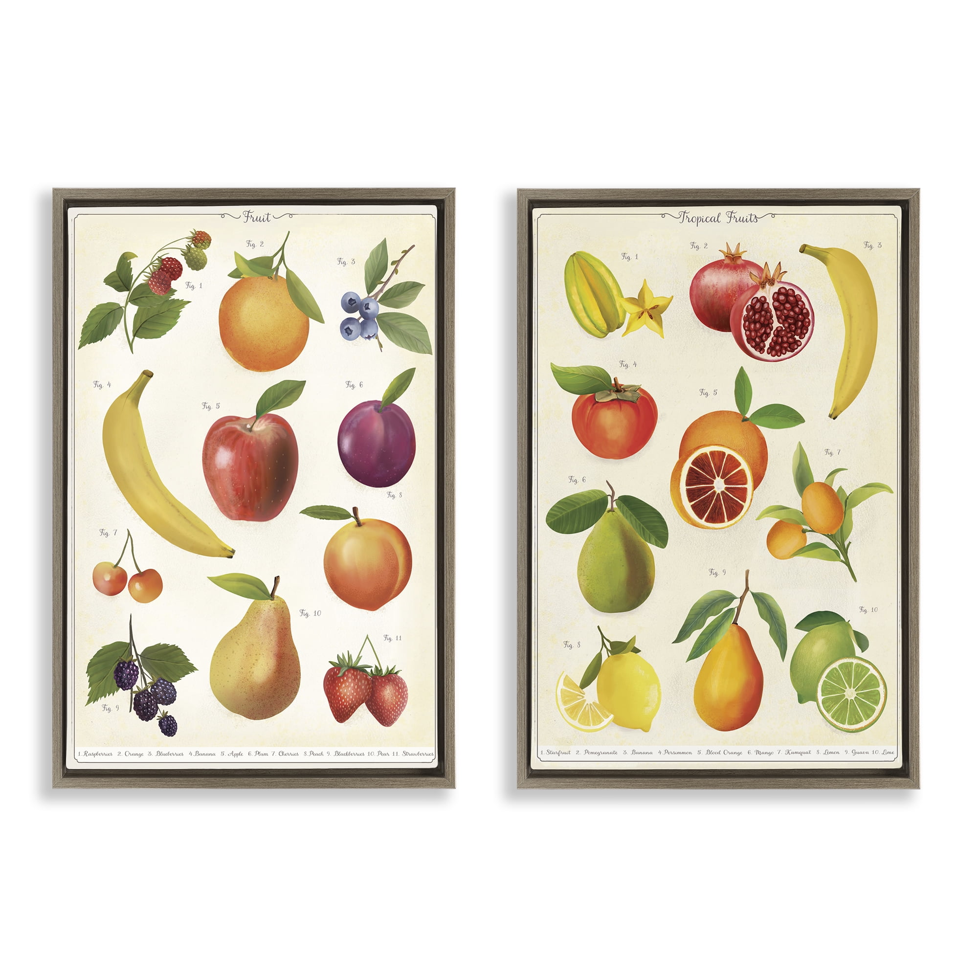 Stupell Industries Kitchen Studies Fruit 2 Piece Brown Framed Floater Canvas Set, design by Diane Neukirch