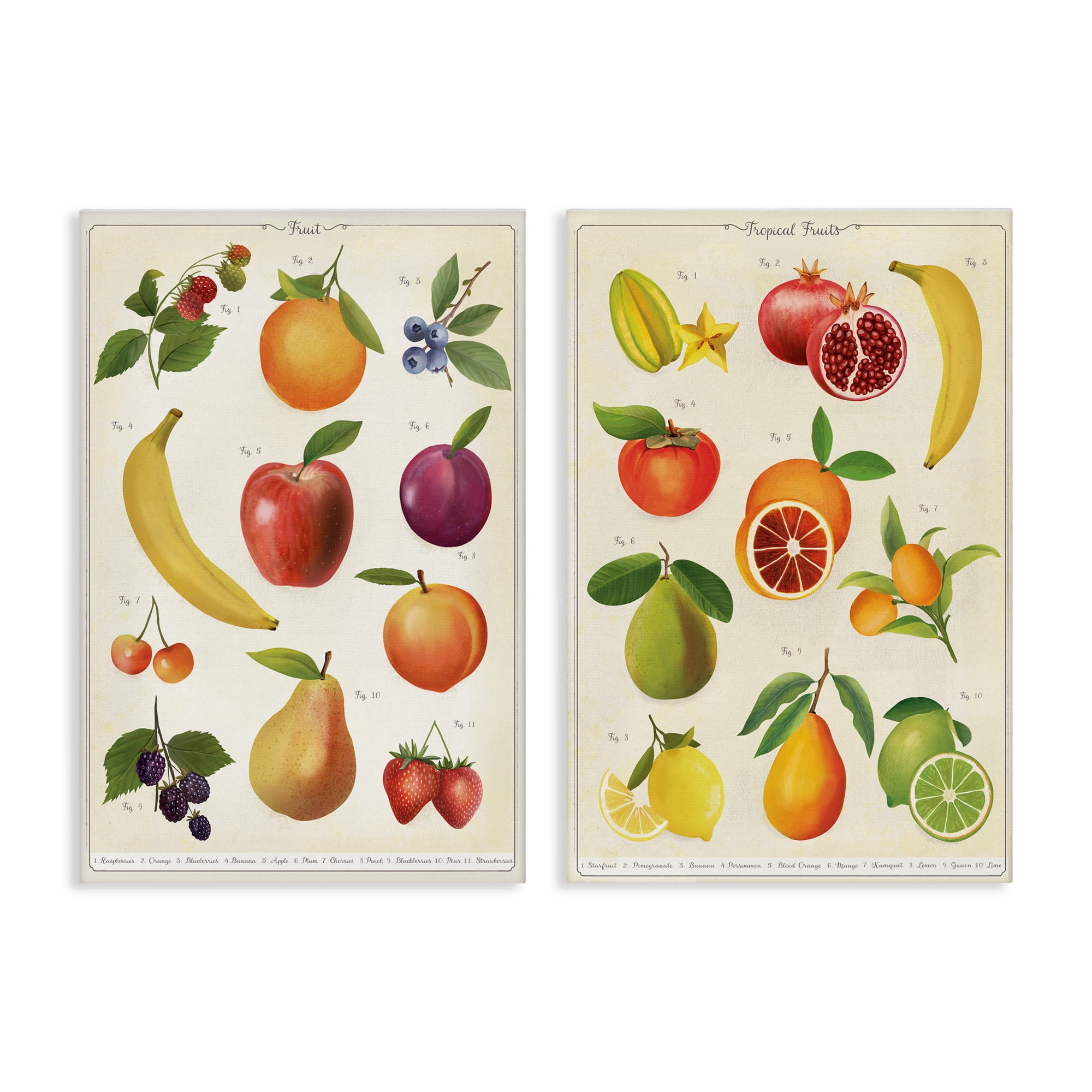 Stupell Industries Kitchen Studies Fruit 2 Piece Canvas Wall Art Set, design by Diane Neukirch