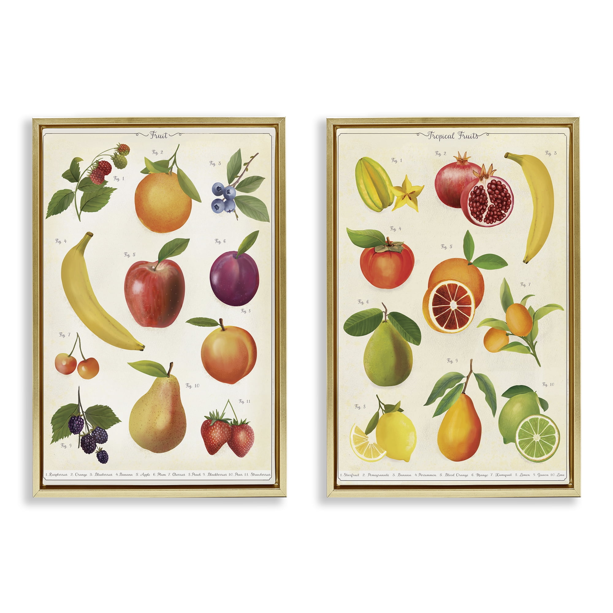 Stupell Industries Kitchen Studies Fruit 2 Piece Gold Framed Floater Canvas Set, design by Diane Neukirch