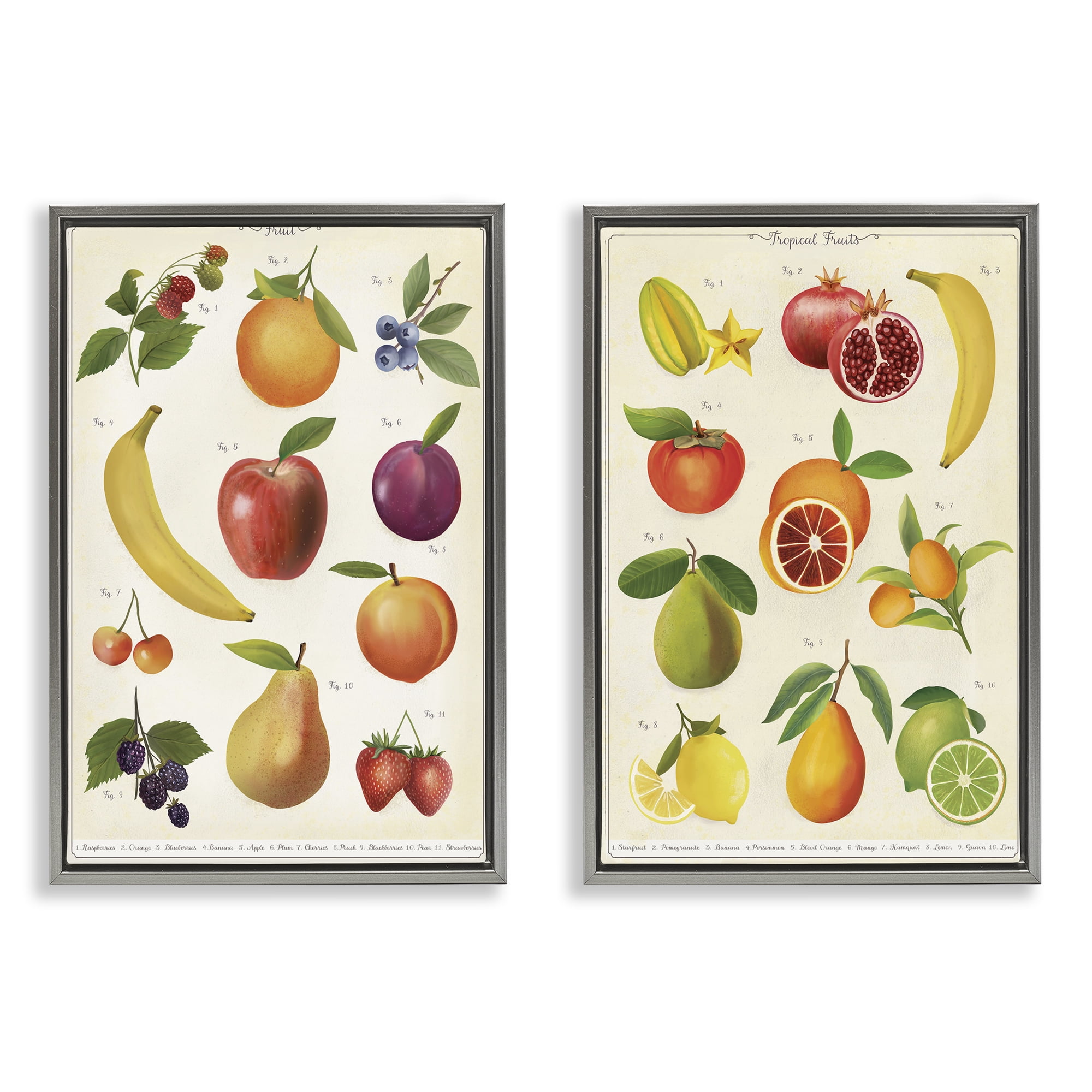 Stupell Industries Kitchen Studies Fruit 2 Piece Gray Framed Floater Canvas Set, design by Diane Neukirch