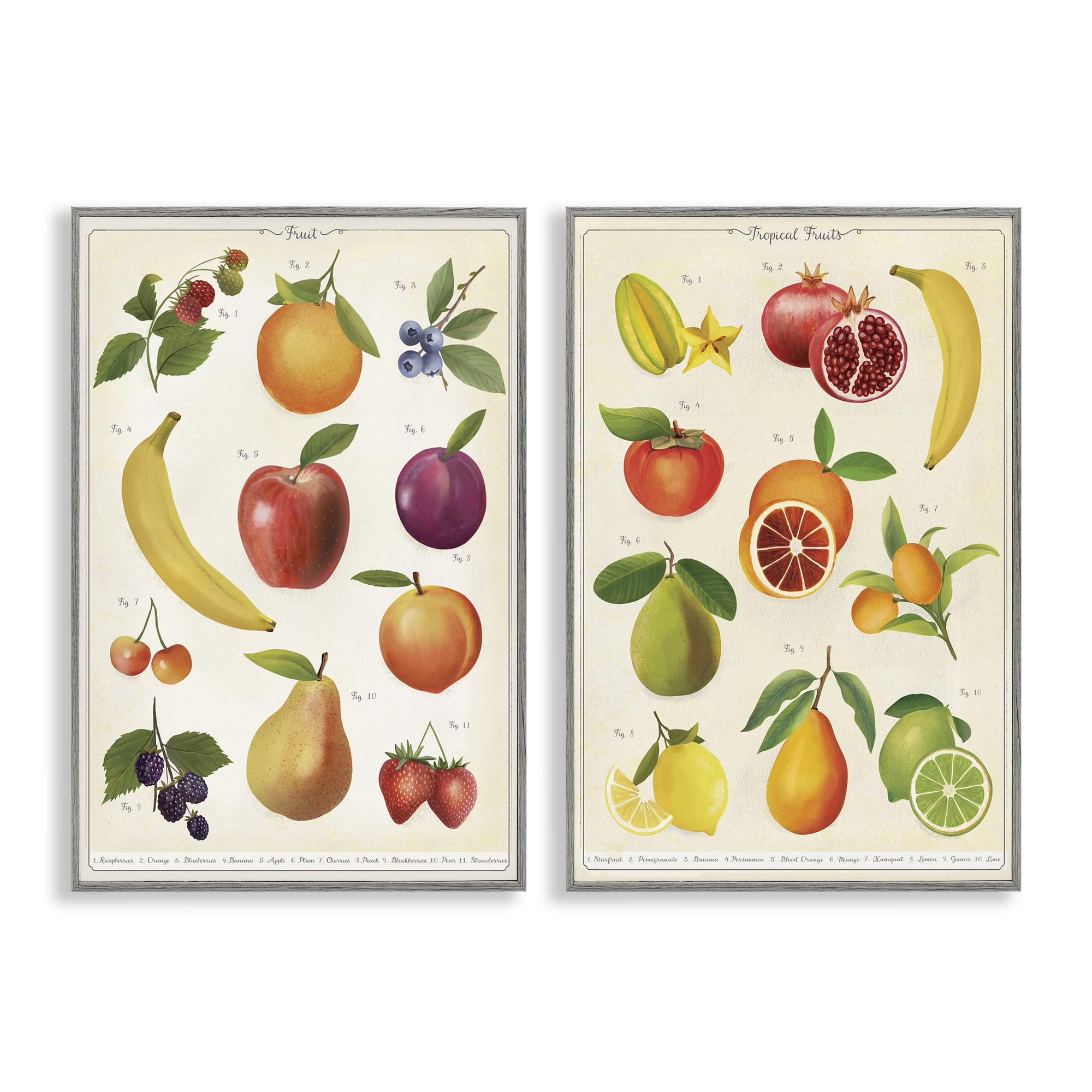 Stupell Industries Kitchen Studies Fruit 2 Piece Gray Framed Giclee Art Set, design by Diane Neukirch