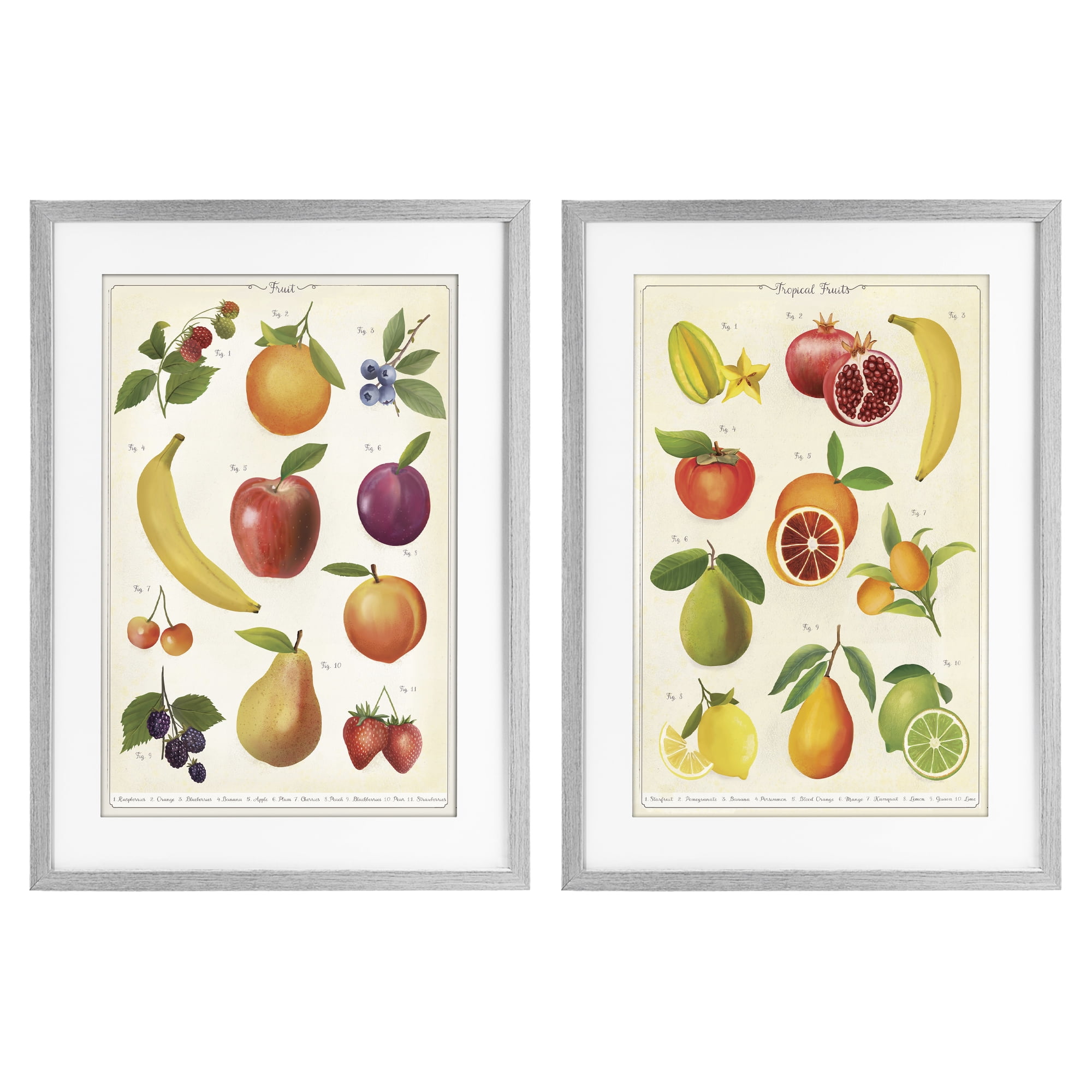 Stupell Industries Kitchen Studies Fruit 2 Piece Gray Framed Print Under Glass Set, design by Diane Neukirch