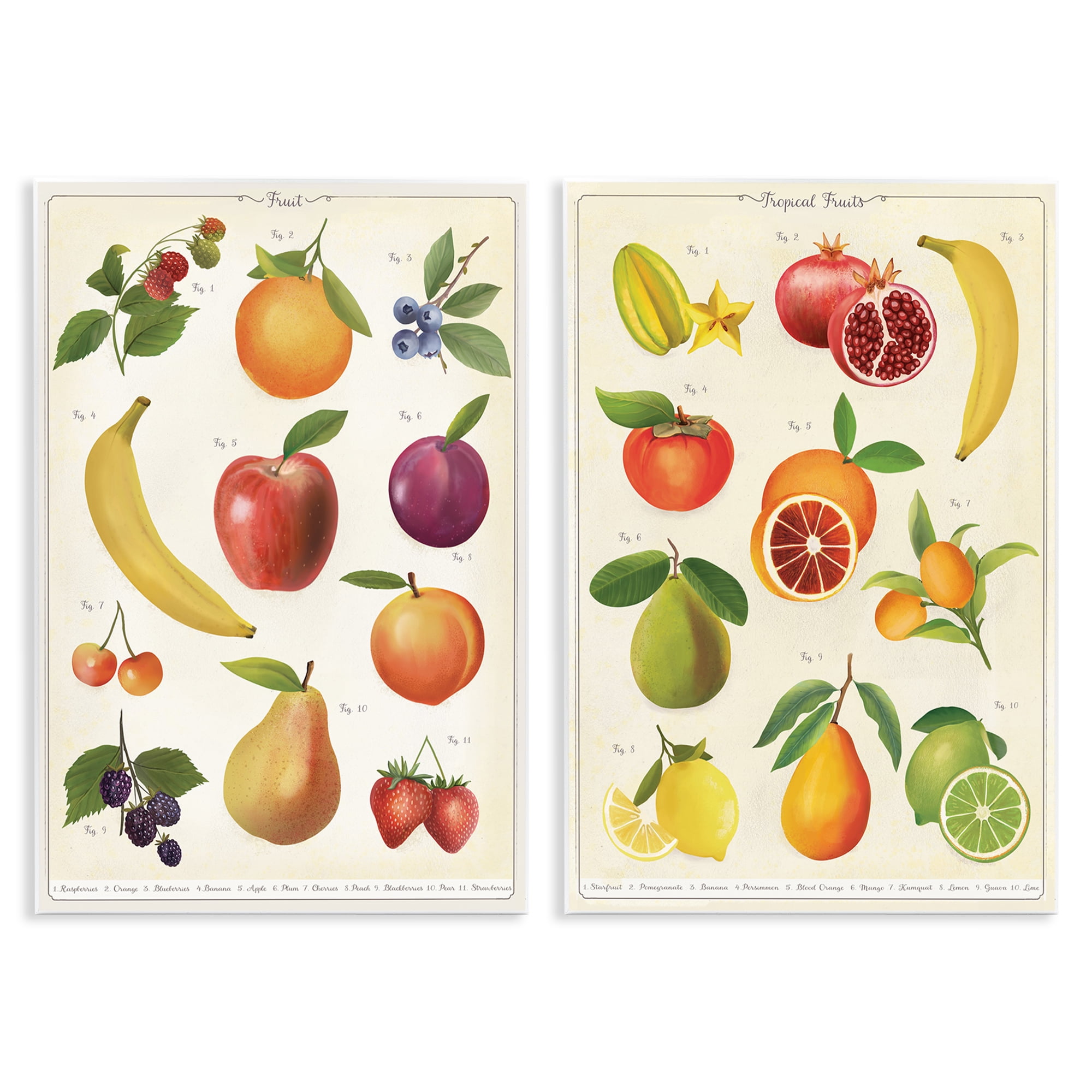 Stupell Industries Kitchen Studies Fruit 2 Piece Wall Plaque Art Set, design by Diane Neukirch
