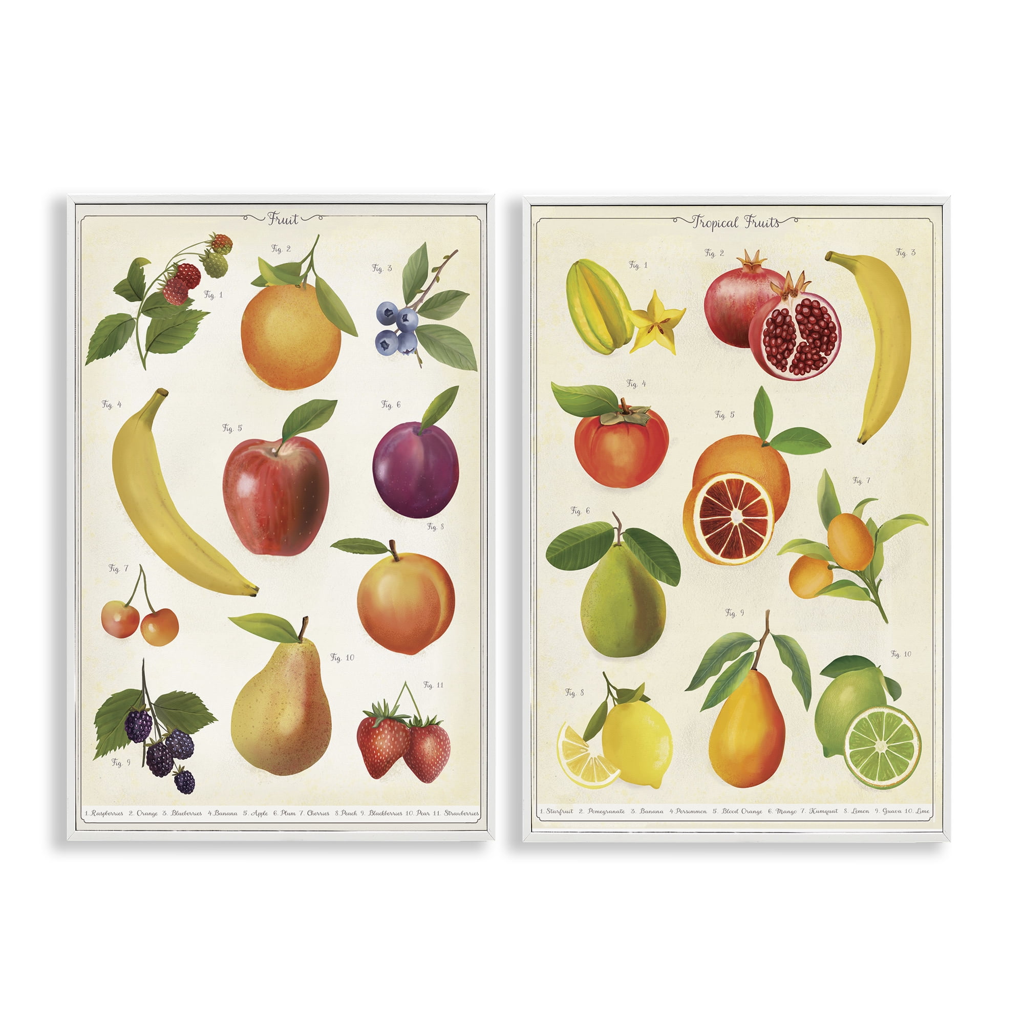 Stupell Industries Kitchen Studies Fruit 2 Piece White Framed Giclee Art Set, design by Diane Neukirch