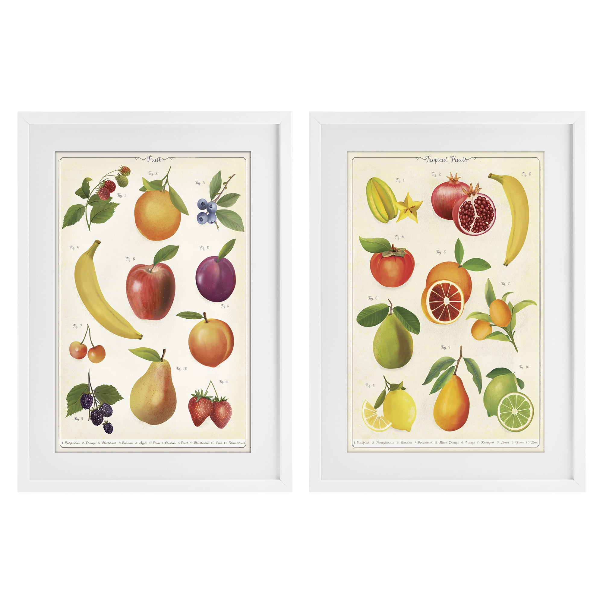 Stupell Industries Kitchen Studies Fruit 2 Piece White Framed Print Under Glass Set, design by Diane Neukirch