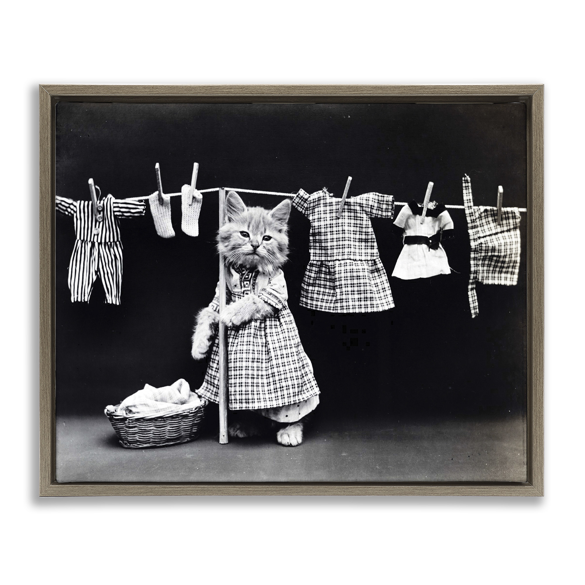Stupell Industries Kitten Does The Laundry Animals & Insects Photography Brown Floater Framed Canvas Art Print Wall Art, 21 x 17