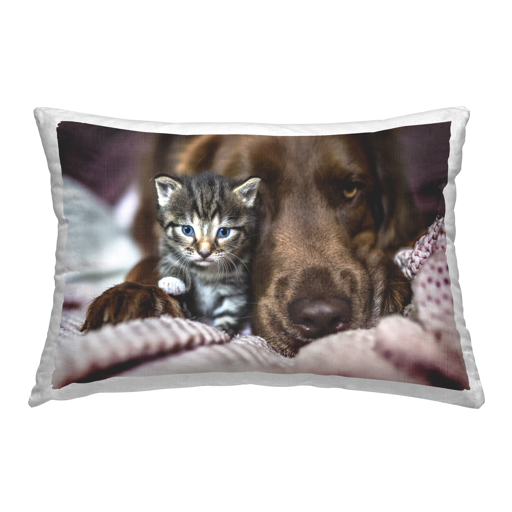 Stupell Industries Kitten & Dog Friendship Decorative Printed Throw Pillow Design by Natalie Grosse