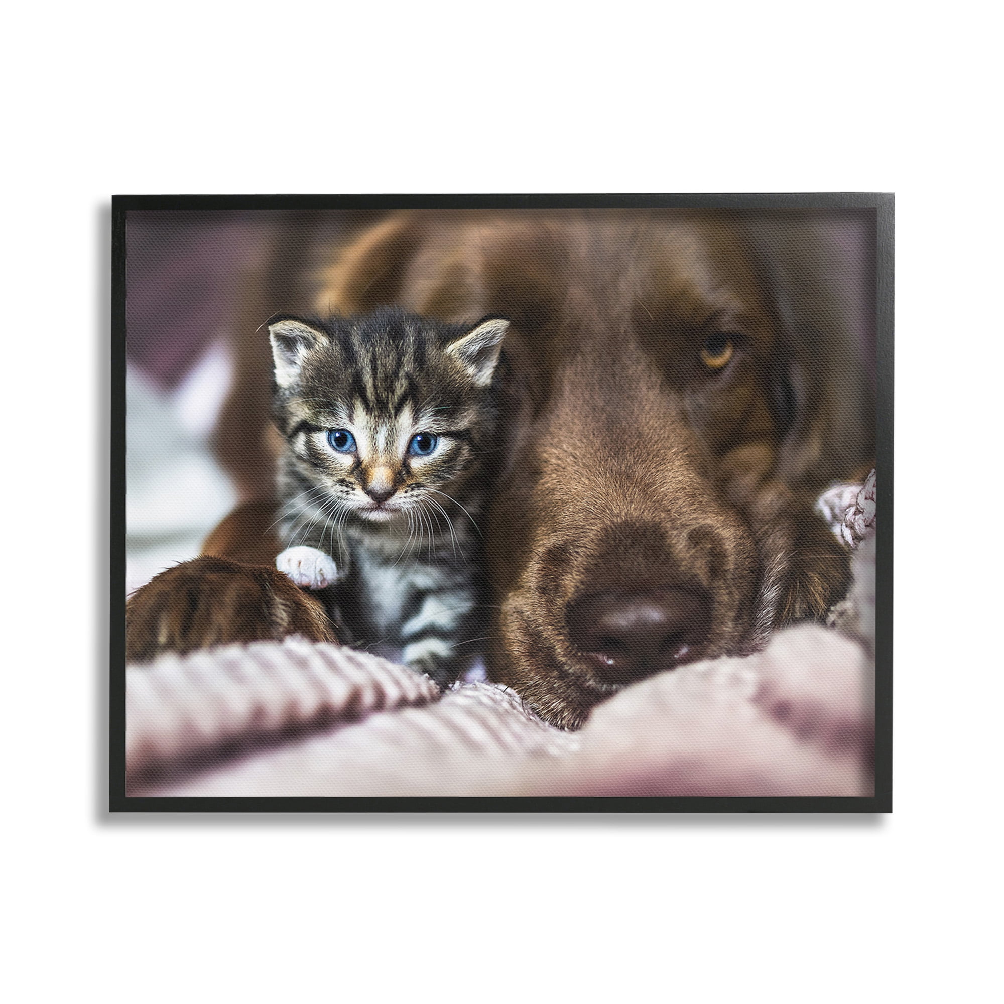 Stupell Industries Kitten & Dog Snuggling Animals & Insects Painting Black Framed Art Print Wall Art, 30 x 24