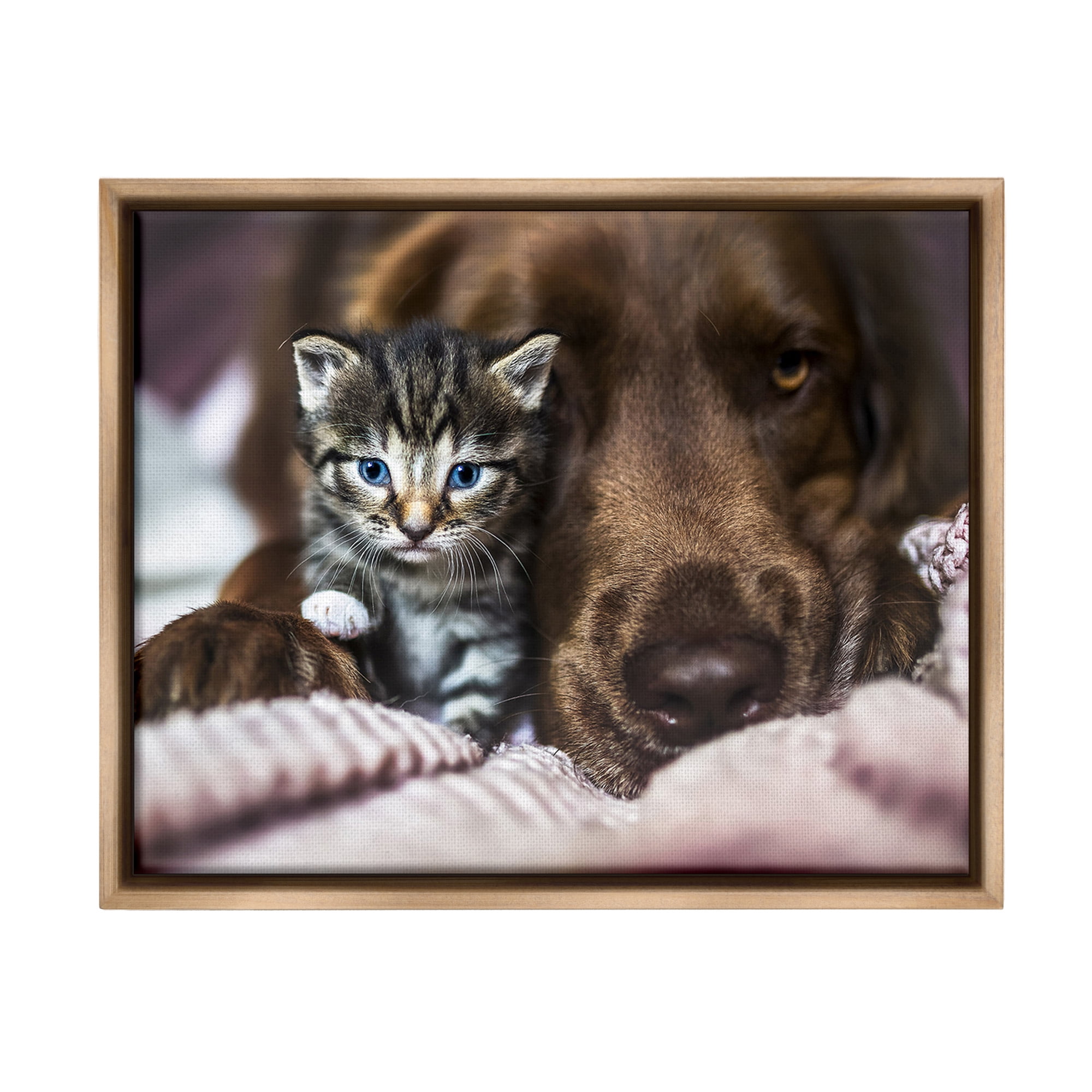 Stupell Industries Kitten & Dog Snuggling Animals & Insects Painting Brown Floater Framed Canvas Art Print Wall Art, 21 x 17