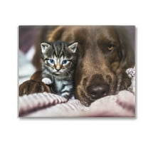 Stupell Industries Kitten & Dog Snuggling Animals & Insects Painting Gallery Wrapped Canvas Art Print Wall Art, 20 x 16