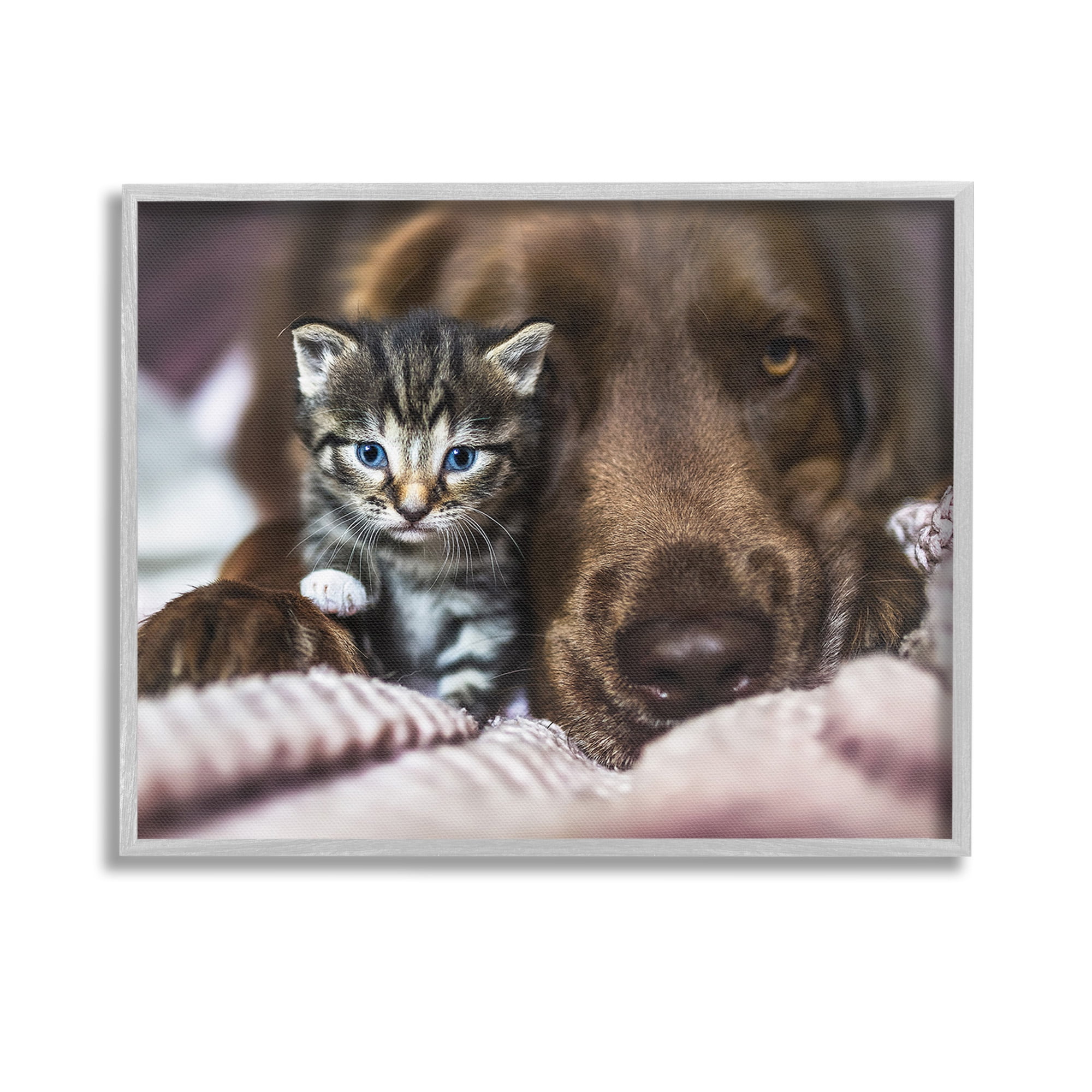Stupell Industries Kitten & Dog Snuggling Animals & Insects Painting Gray Framed Art Print Wall Art, 14 x 11