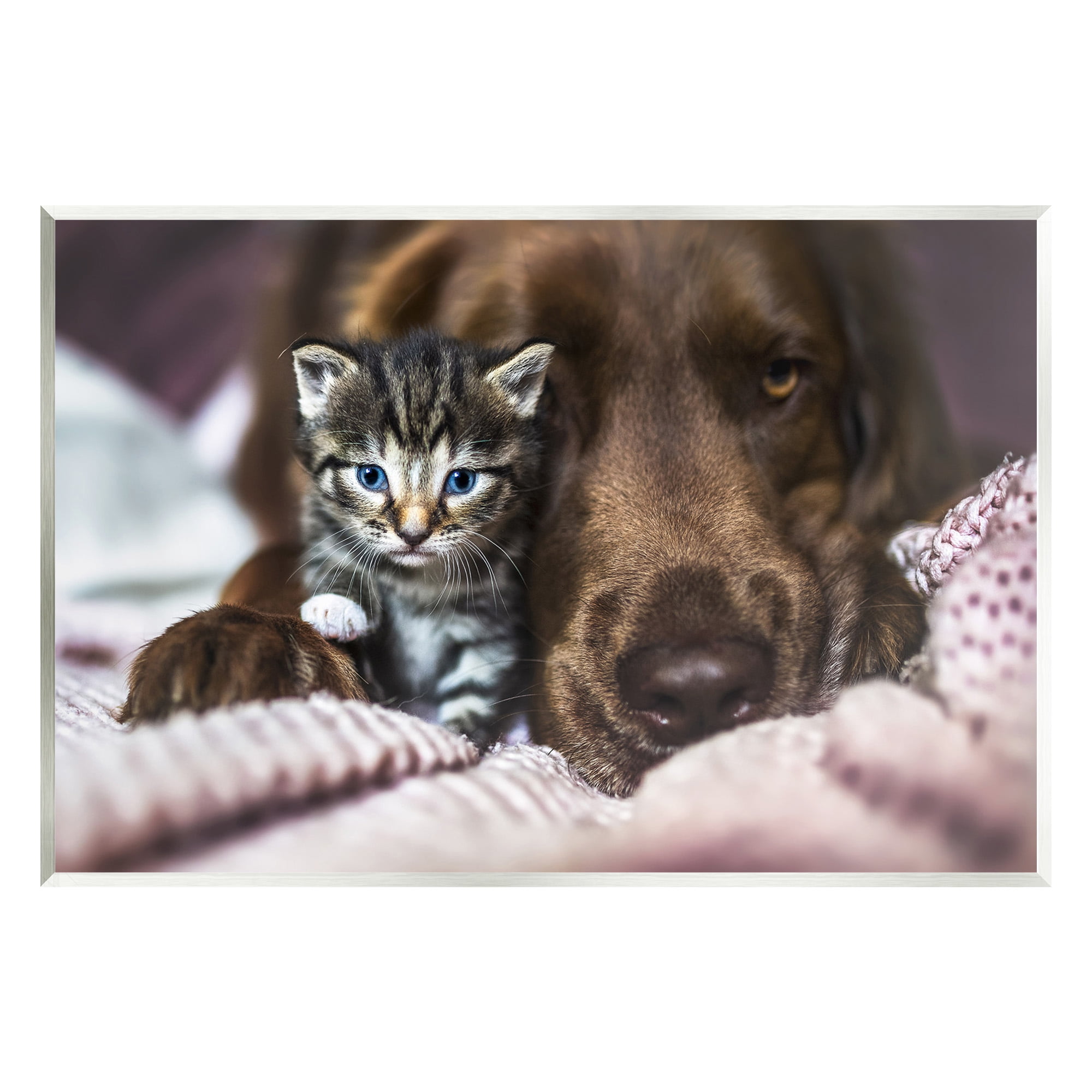 Stupell Industries Kitten & Dog Snuggling Animals & Insects Painting Unframed Art Print Wall Art, 15 x 10