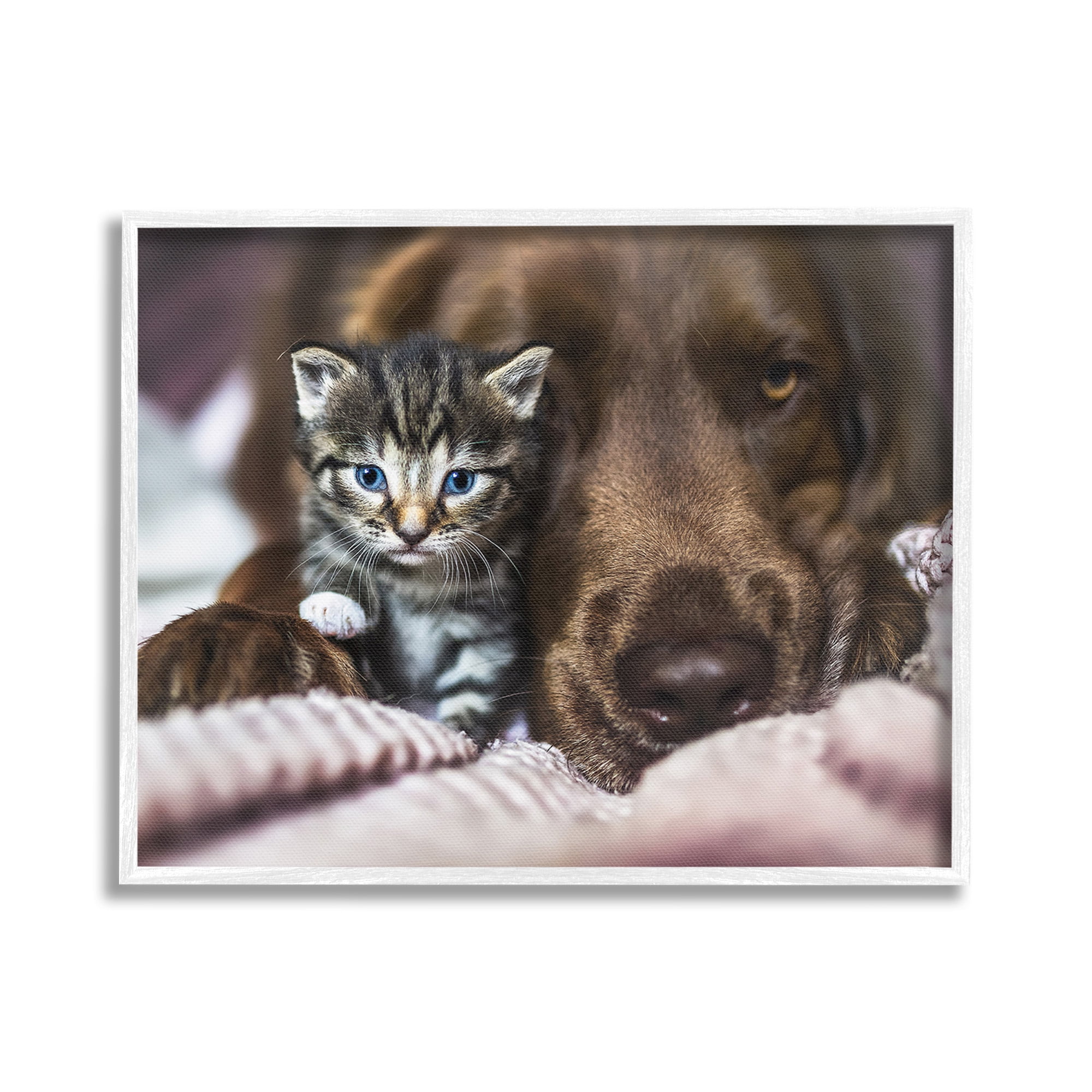 Stupell Industries Kitten & Dog Snuggling Animals & Insects Painting White Framed Art Print Wall Art, 30 x 24