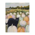 thumbnail image 1 of Stupell Industries Modern Kitten & Pumpkins in Field Canvas Art, 16 x 20, by The Prints Vibe, 1 of 8
