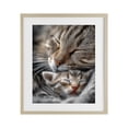 thumbnail image 1 of Stupell Industries Eclectic Kitty Love Cuddles Birch Framed Print Under Glass, 13 x 16, by Scott Stulberg, 1 of 8