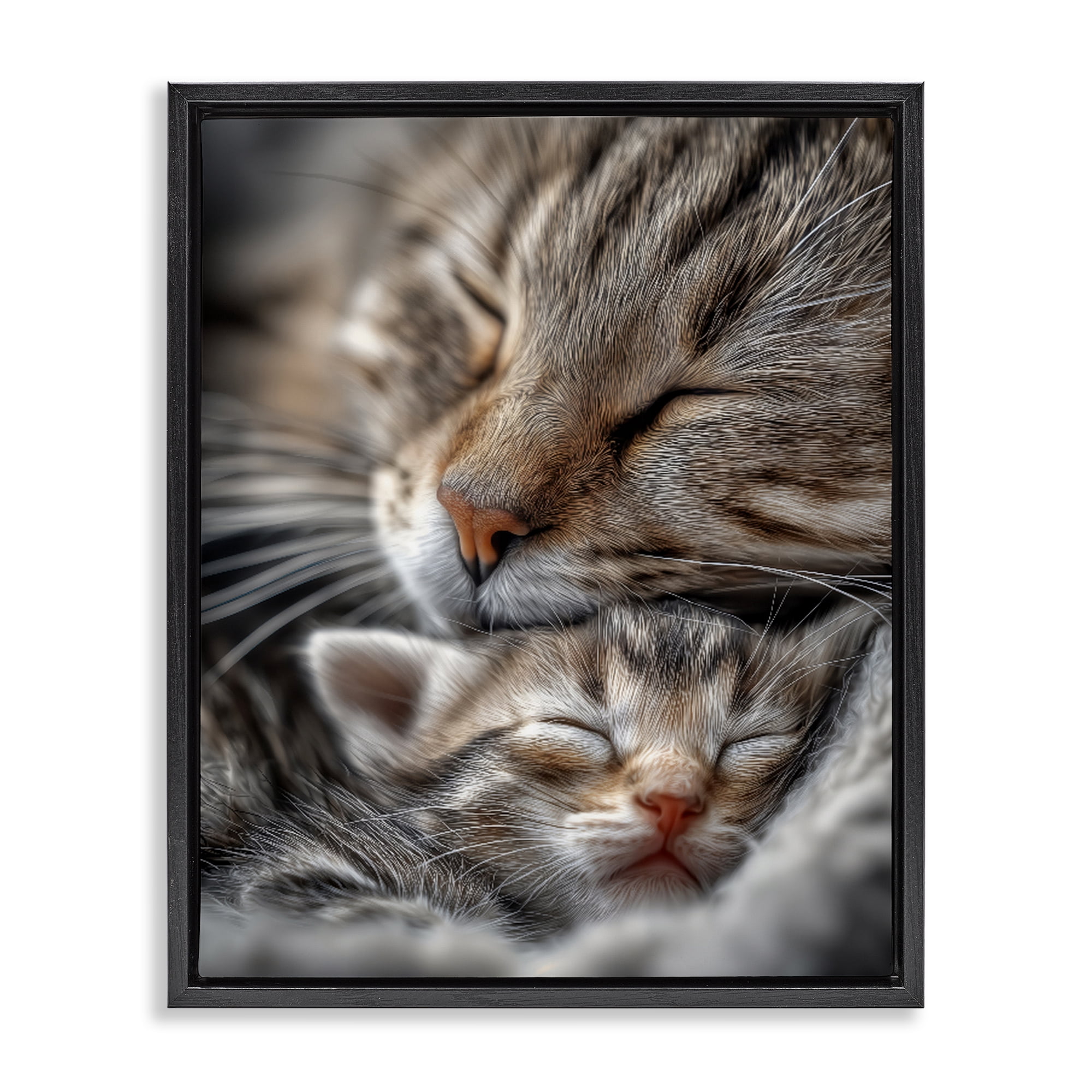 Stupell Industries Kitty Love Cuddles Black Framed Floater Canvas Wall Art, design by Scott Stulberg