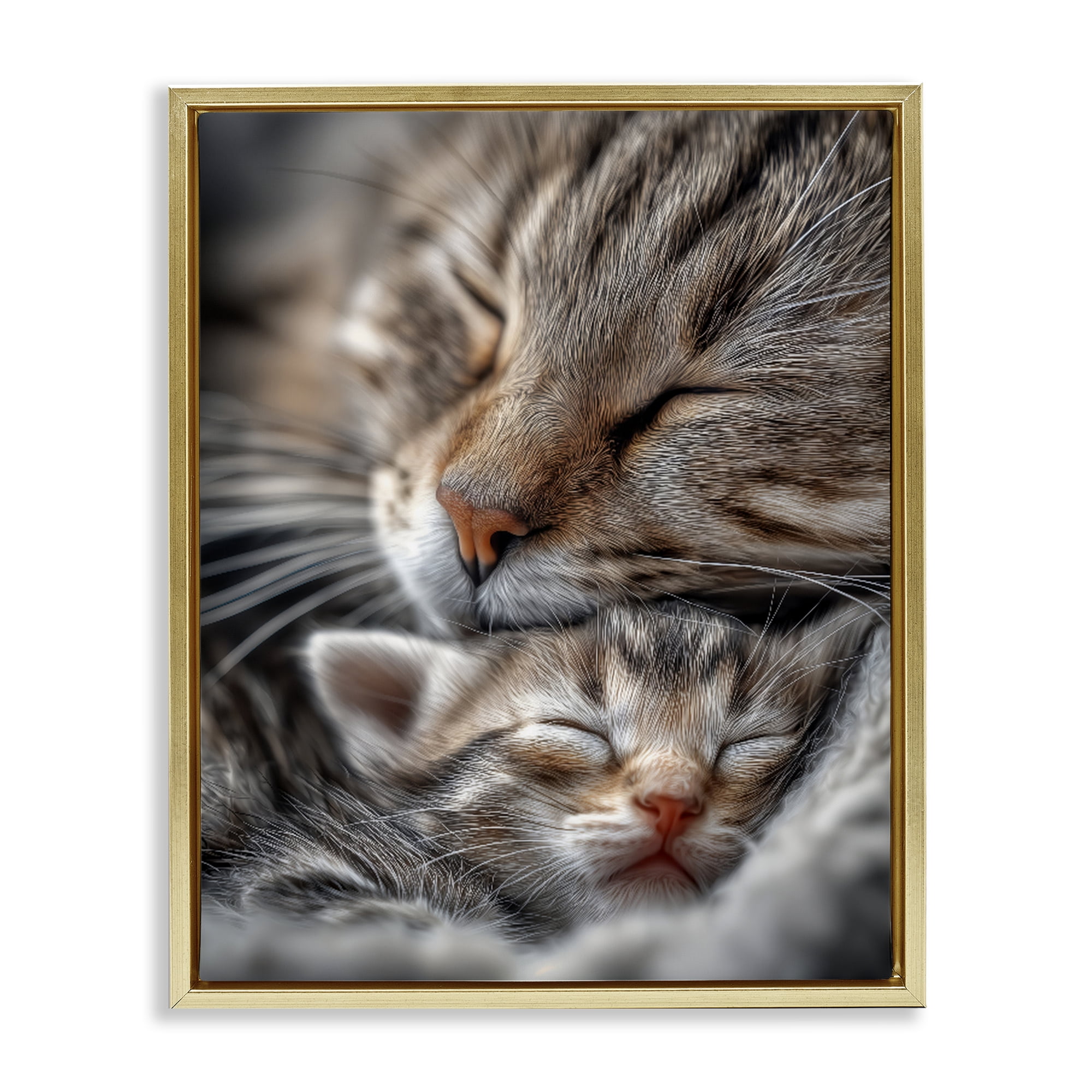 Stupell Industries Kitty Love Cuddles Gold Framed Floater Canvas Wall Art, design by Scott Stulberg