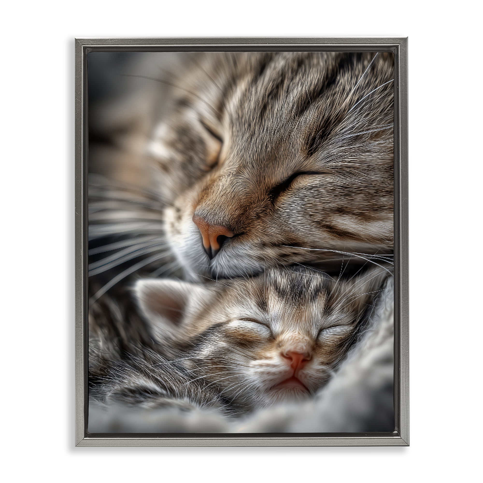 Stupell Industries Kitty Love Cuddles Gray Framed Floater Canvas Wall Art, design by Scott Stulberg