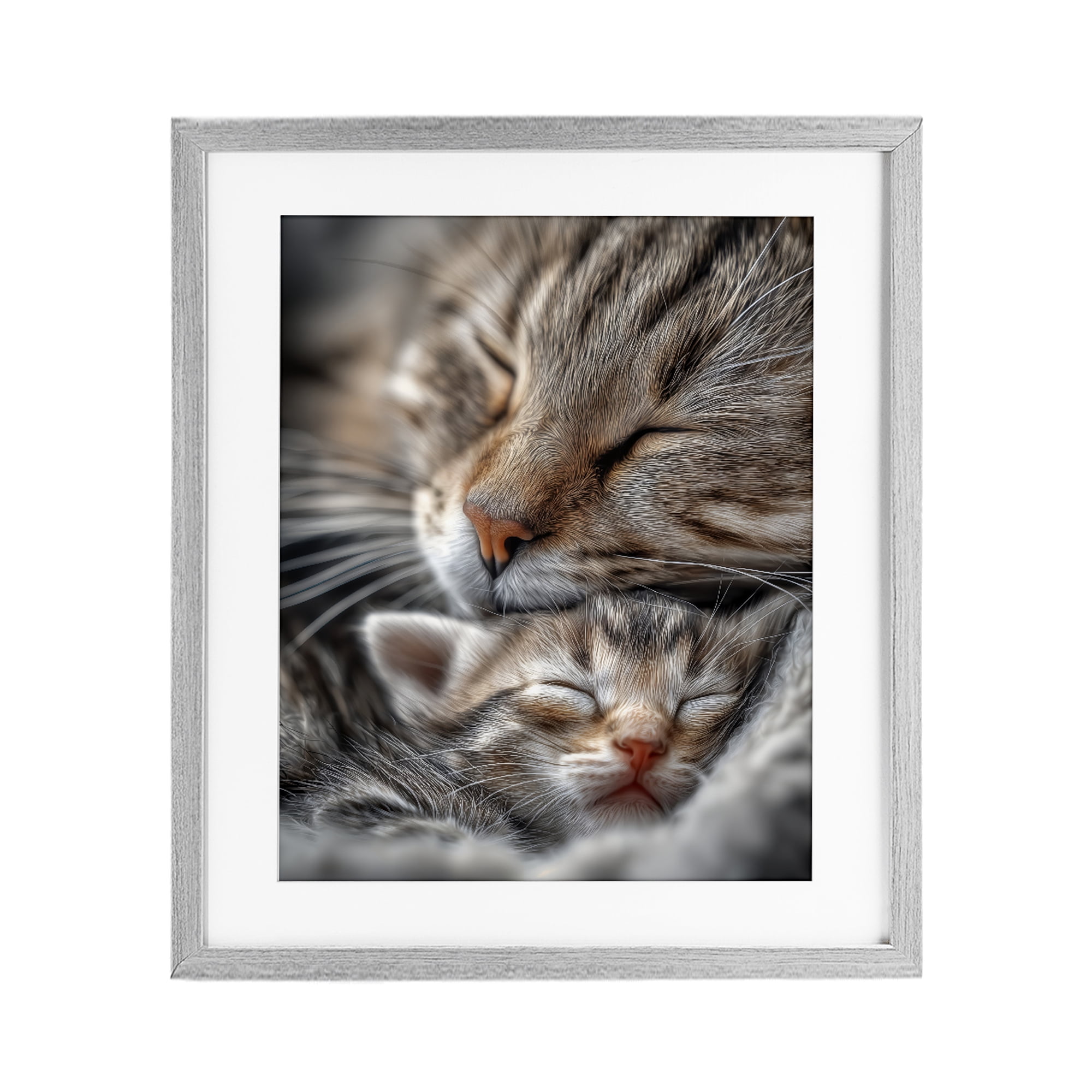 Stupell Industries Kitty Love Cuddles Gray Framed Print Under Glass, design by Scott Stulberg
