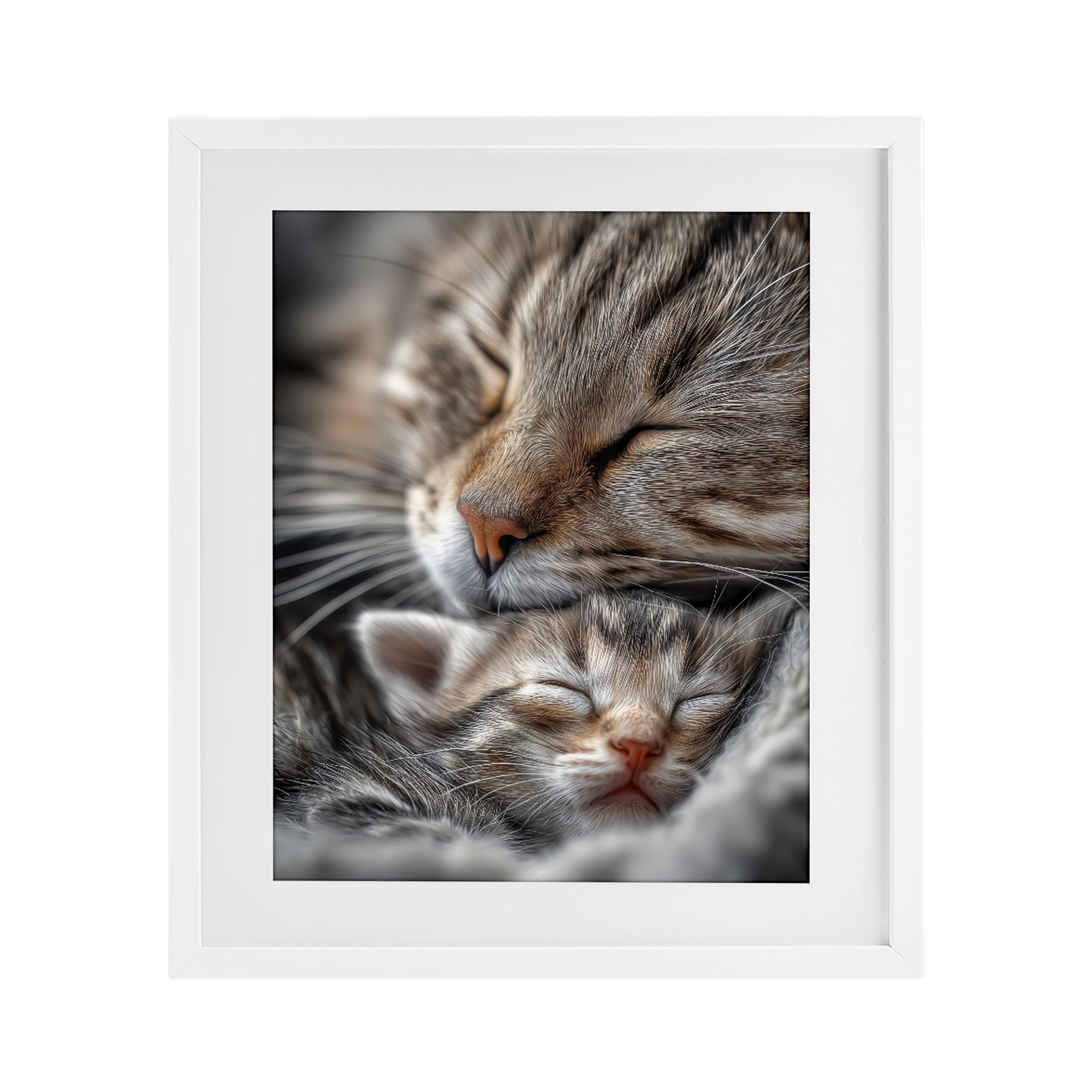 Stupell Industries Kitty Love Cuddles White Framed Print Under Glass, design by Scott Stulberg