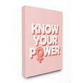 thumbnail image 1 of Stupell Industries Know Your Power Fashion Modern Pink Textured Design Canvas Wall Art by Daphne Polselli, 1 of 2