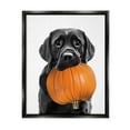 thumbnail image 1 of Stupell Industries Lab Dog with Pumpkin Holiday Painting Black Floater Framed Canvas Art Print Wall Art, 17 x 21, 1 of 10