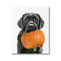 Stupell Industries Lab Dog with Pumpkin Holiday Painting Gallery Wrapped Canvas Art Print Wall Art, 16 x 20