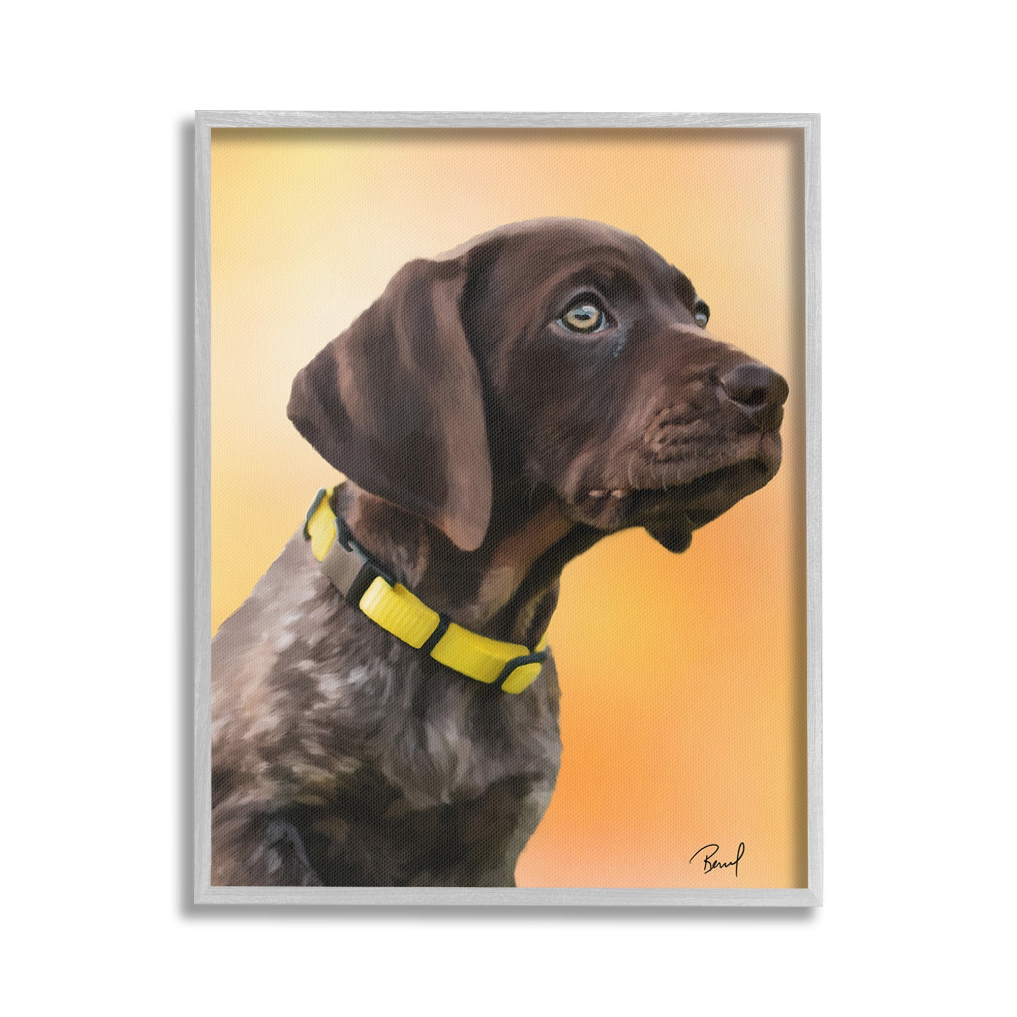 Stupell Industries Lab Puppy on Orange Animals & Insects Painting Gray Framed Art Print Wall Art, 24 x 30