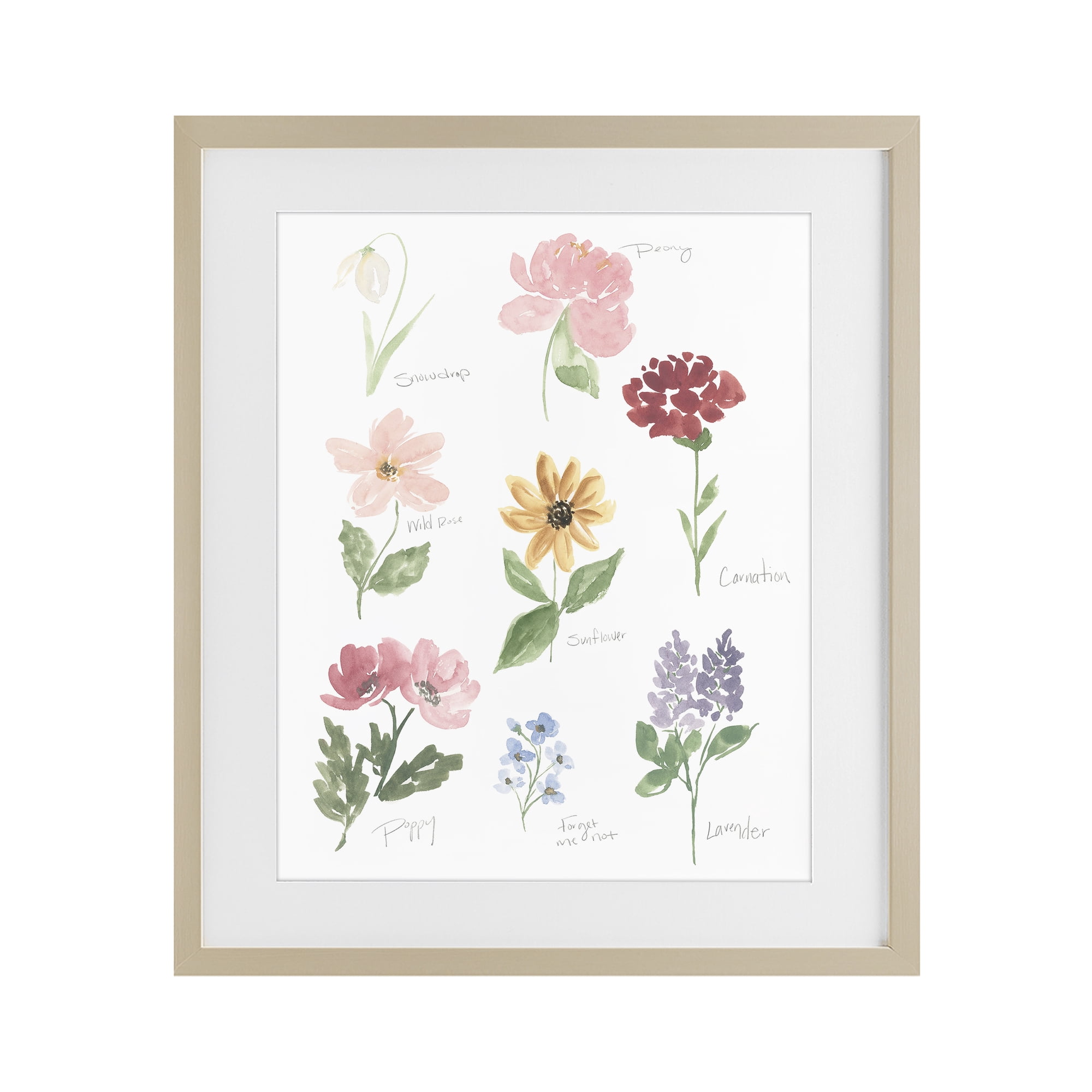 Stupell Industries Labeled Flower Varieties Birch Framed Print Under Glass, design by Lucille Price